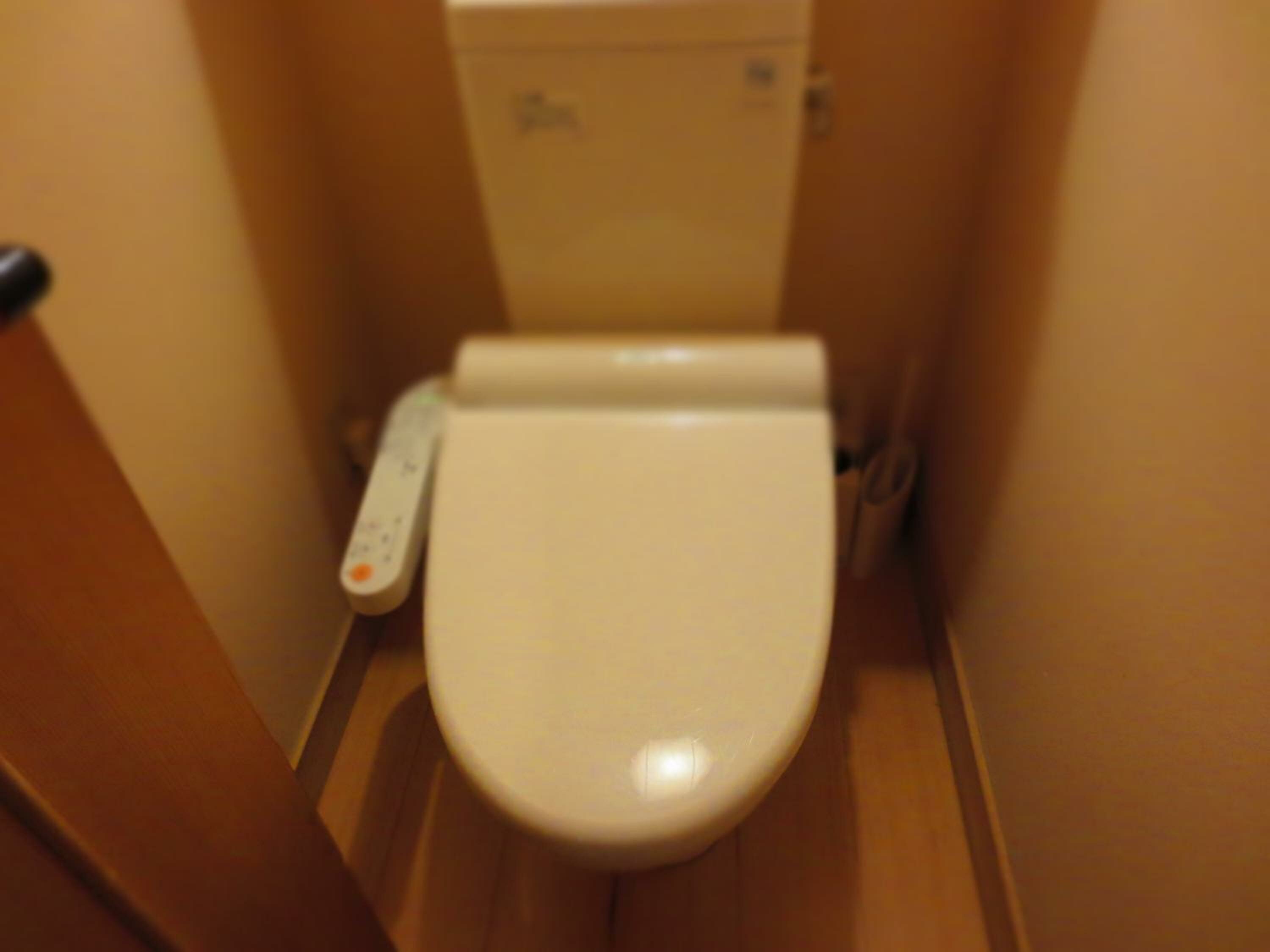 Japanese-Style Room with Private Toilet and River View 