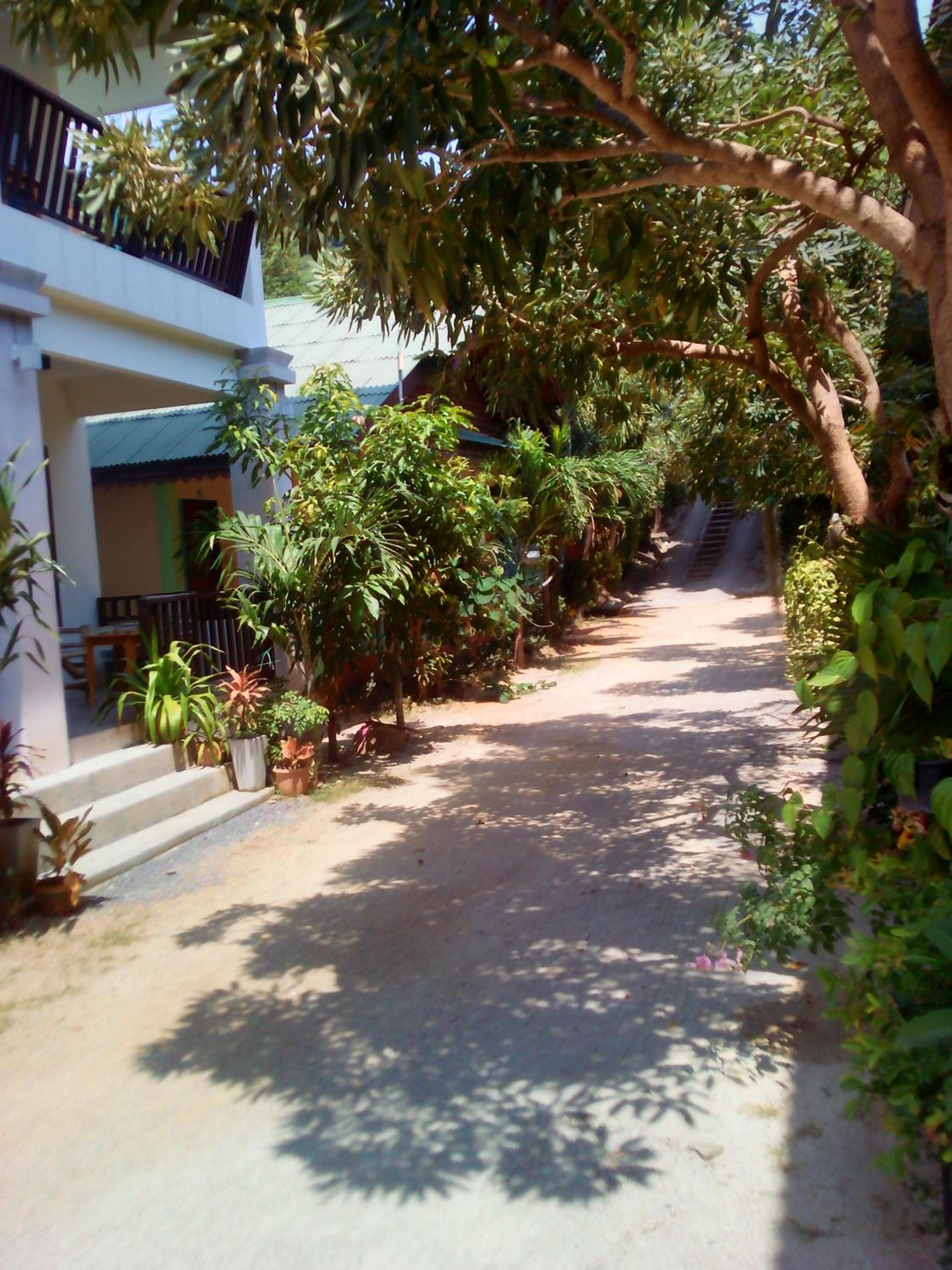 Triple Bungalow with Fan