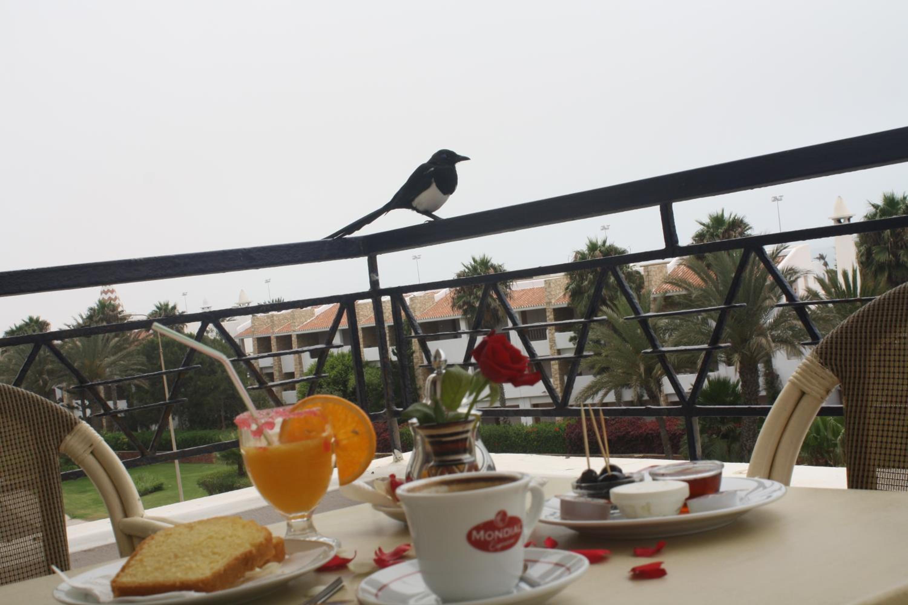 Superior Suite with Sea View