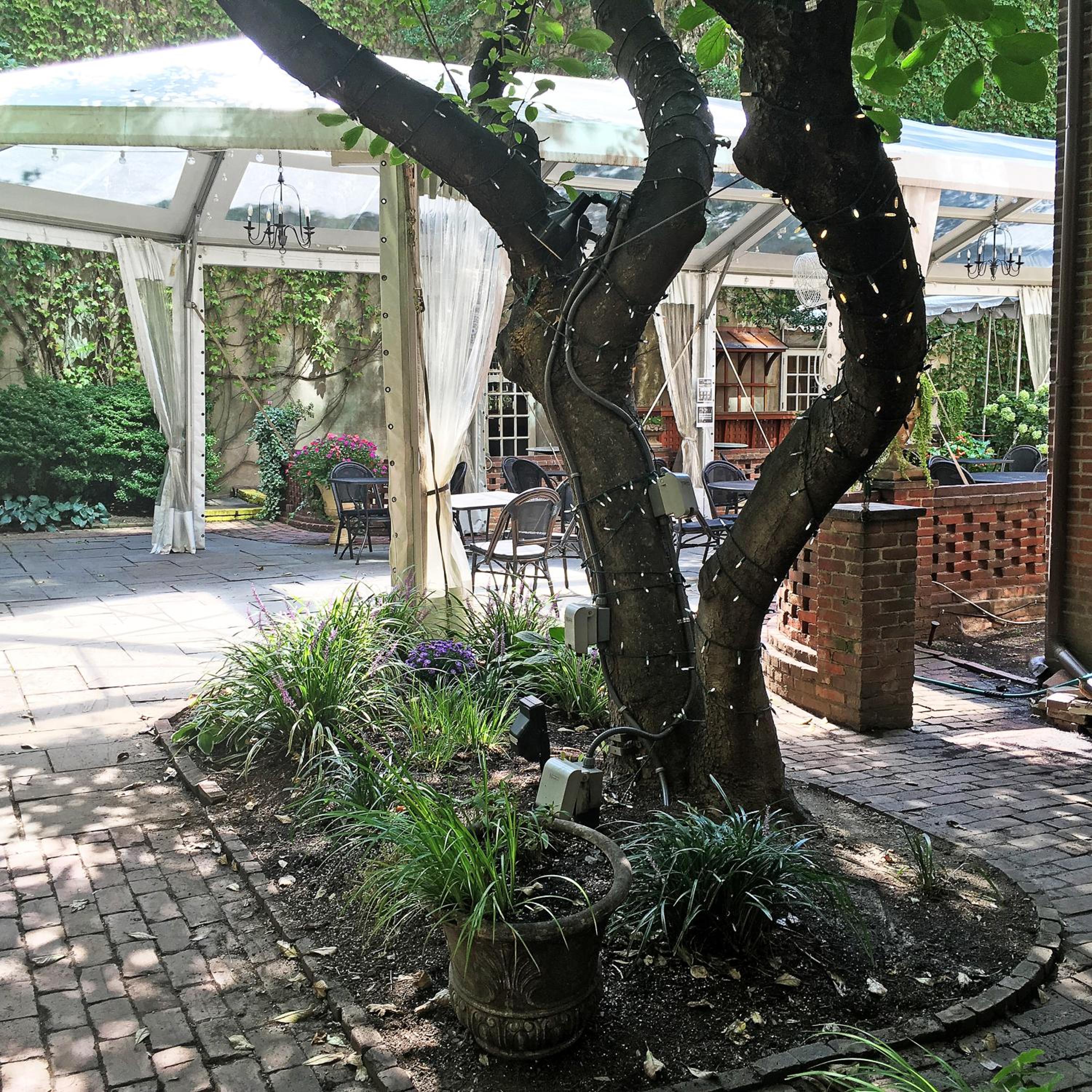Apartment with Garden View