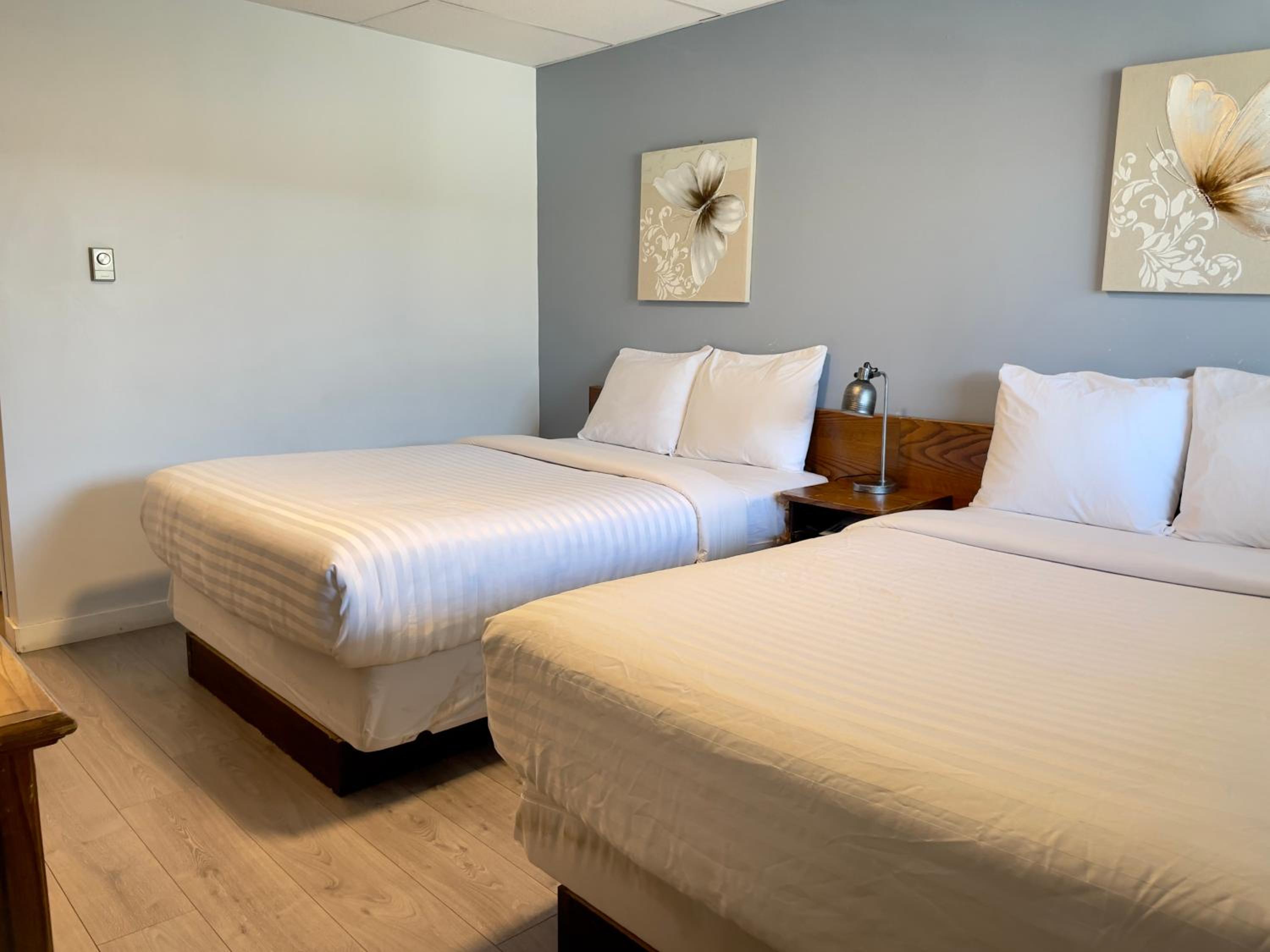 Double Room with Two Double Beds