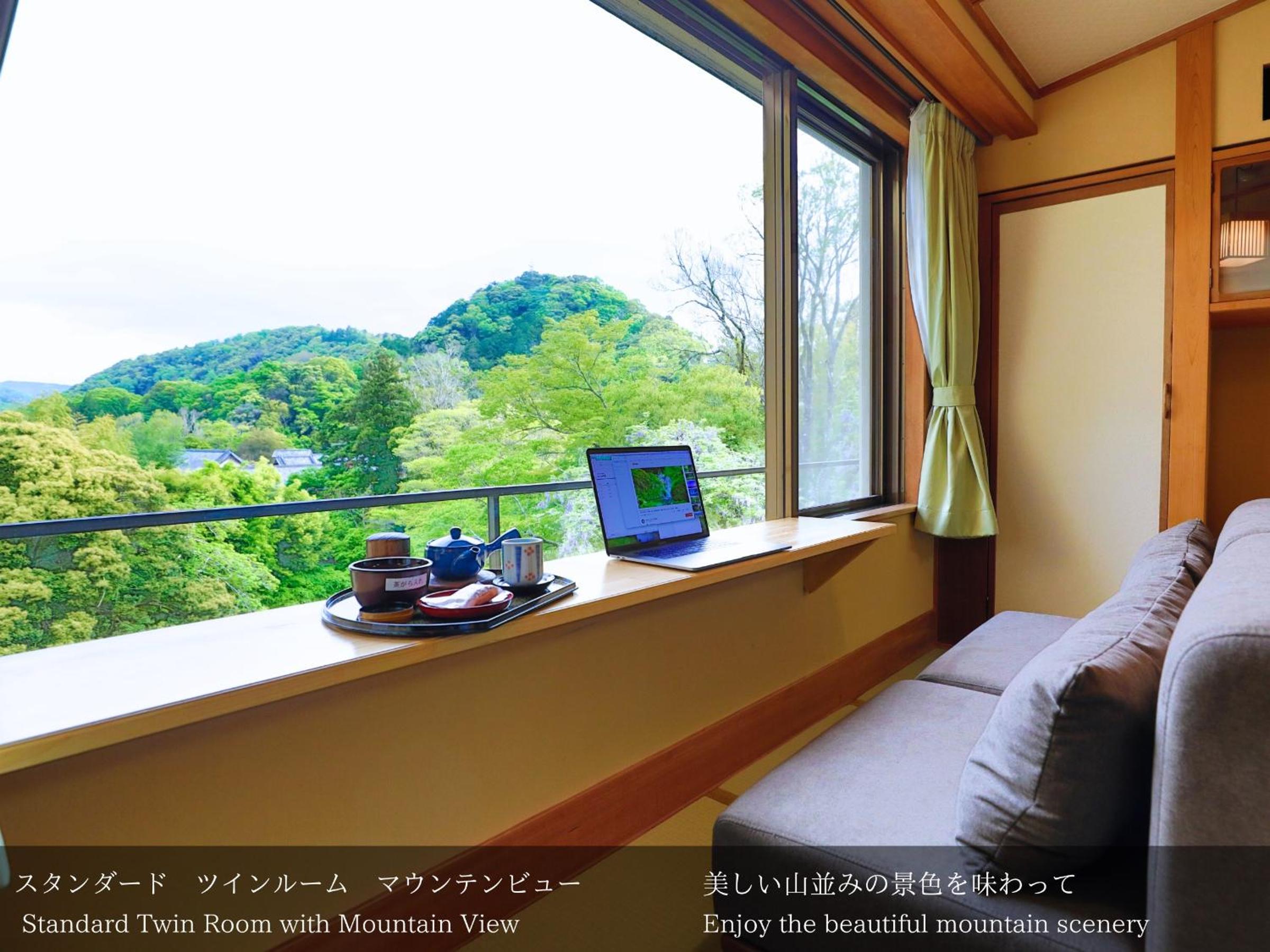 Standard Twin Room with Mountain View