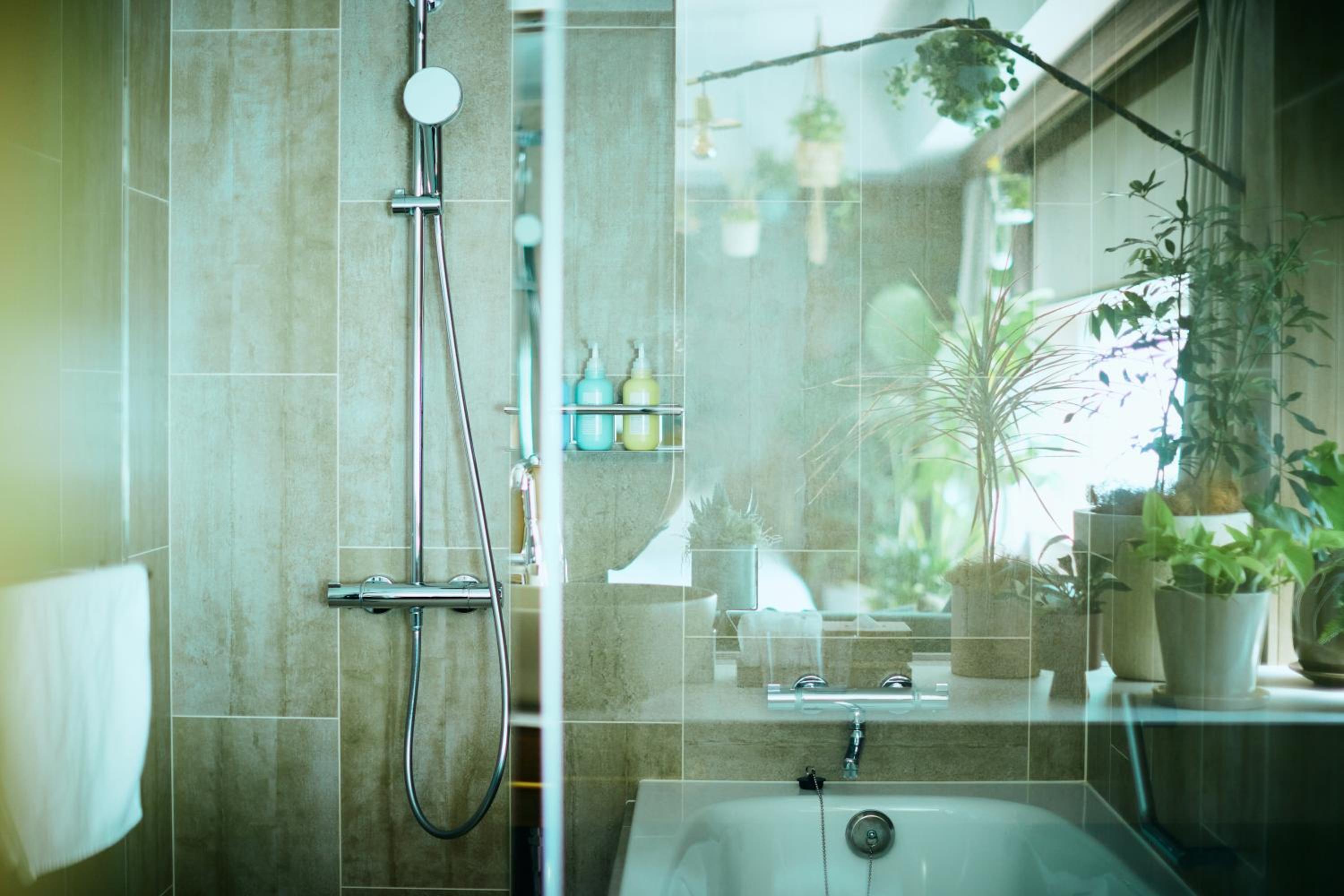 【BOTANICAL Room】Twin Room