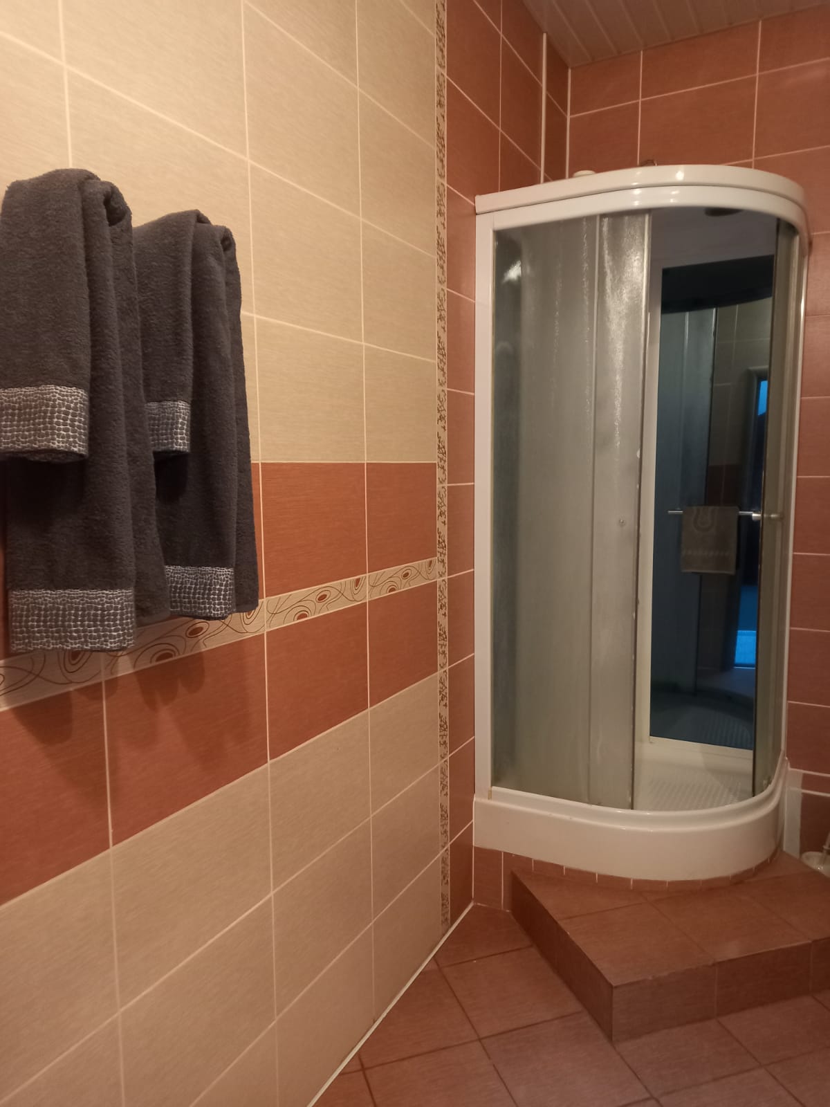 Двухместный номер Делюкс с 1 кроватью или 2 отдельными кроватями