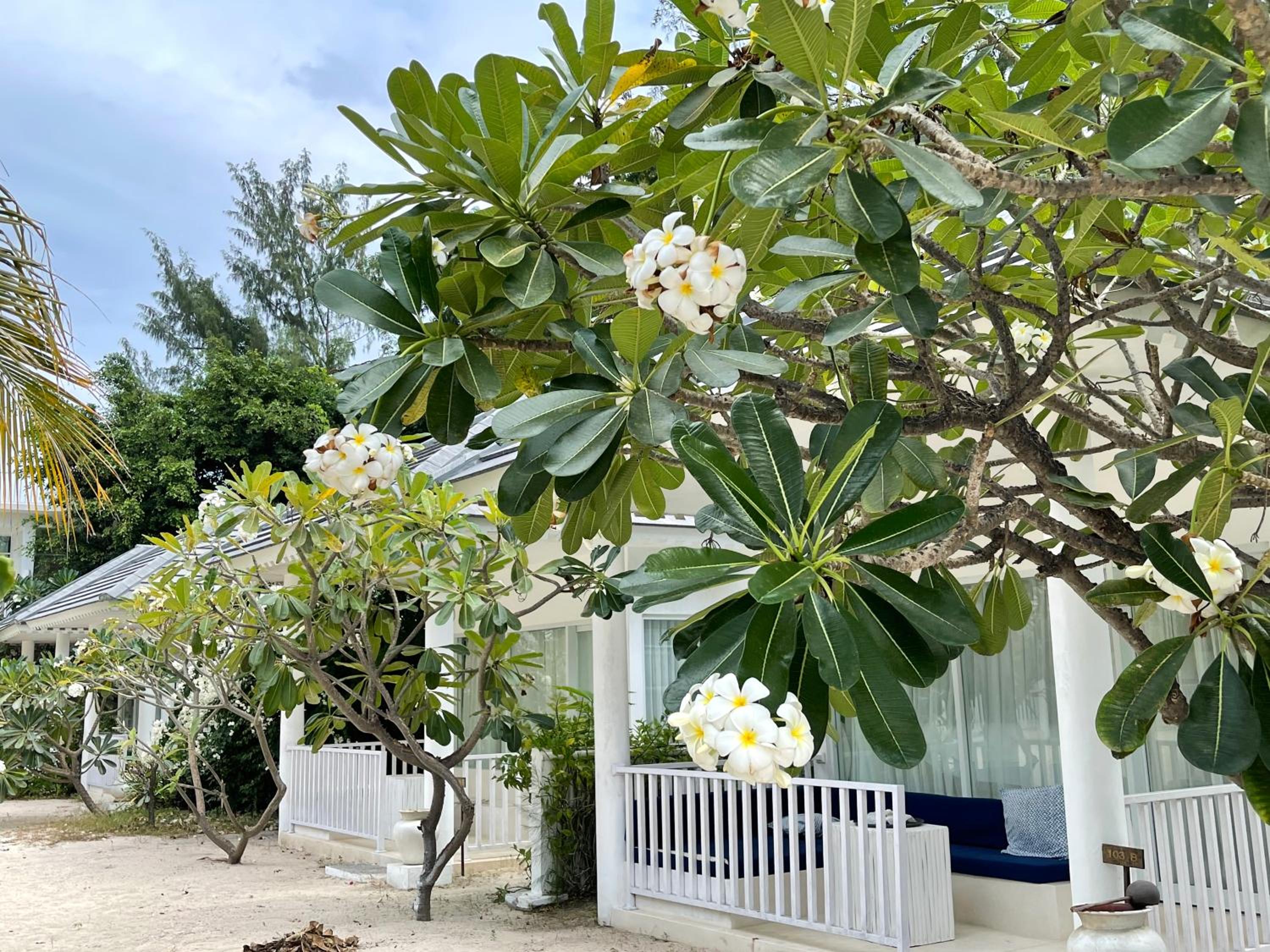 Beach Bungalow with Nature View