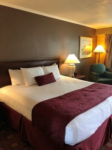 Deluxe King Studio Suite - Non-Smoking