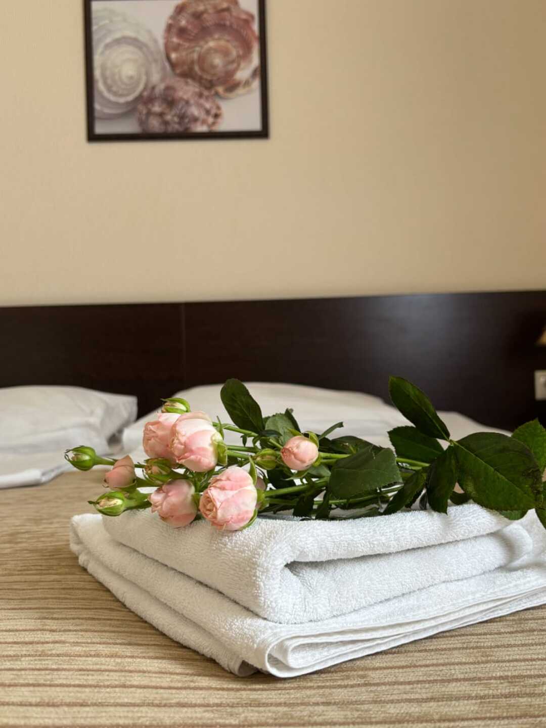 Двухместный номер с 1 кроватью