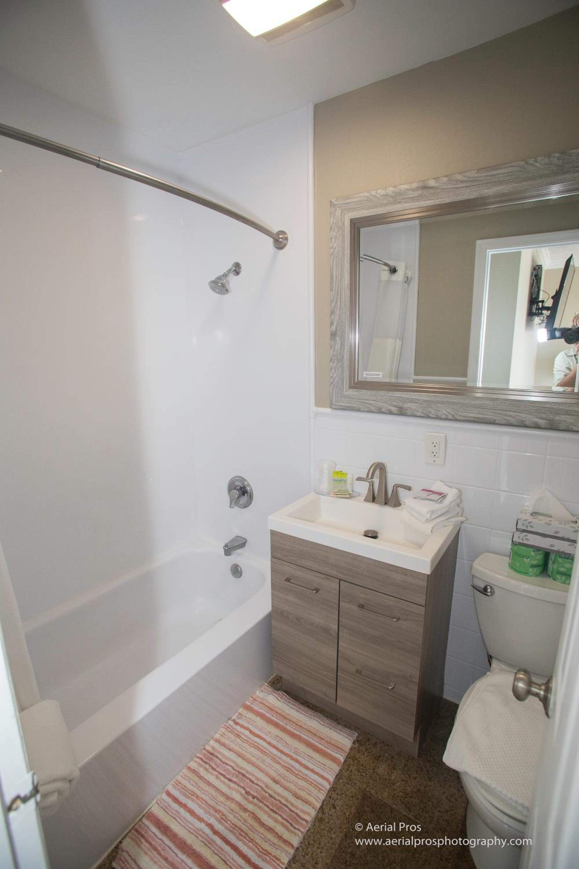 Deluxe One-Bedroom Apartment