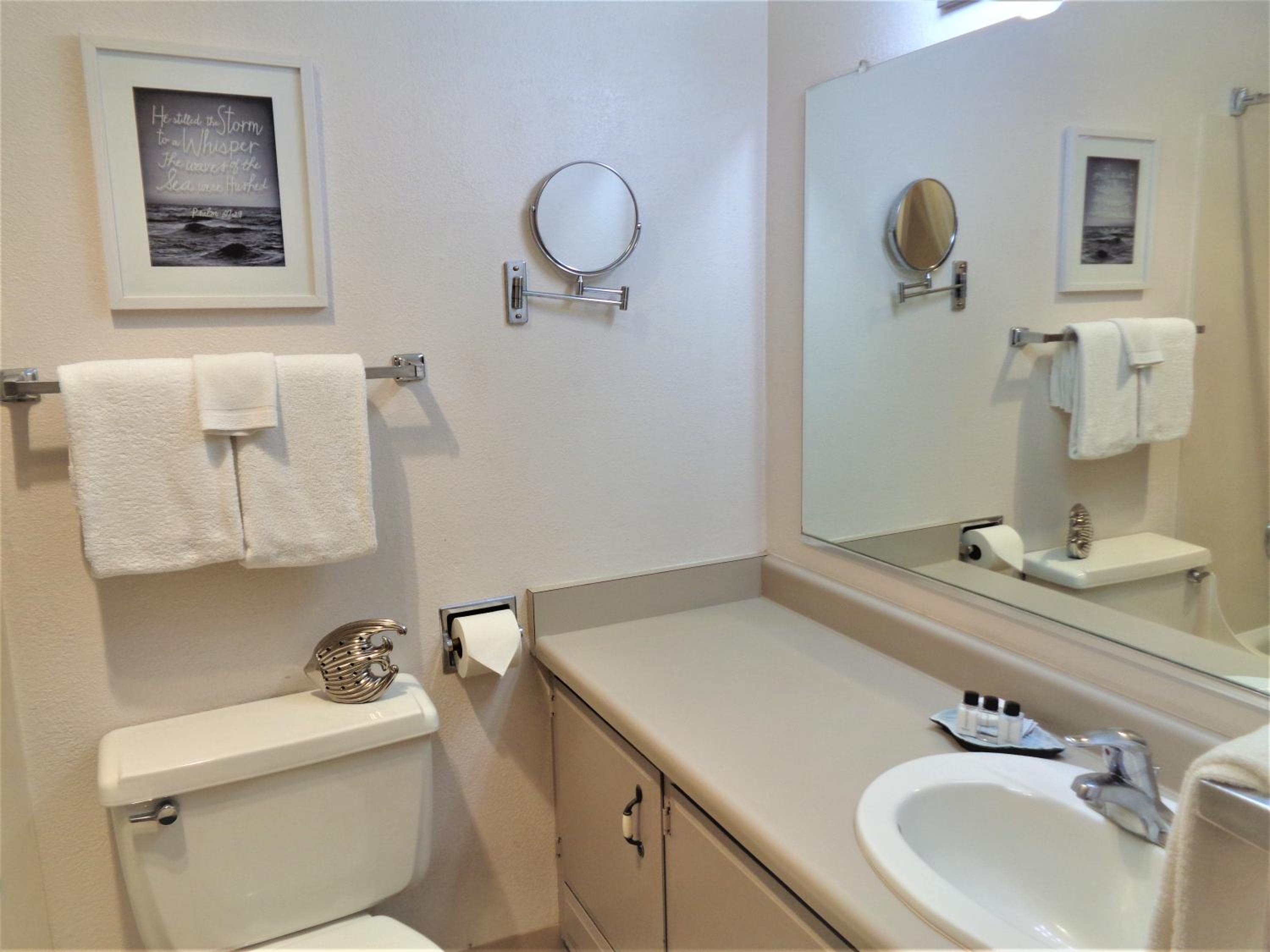 Studio, 1 Queen, Non-View, Dog Friendly