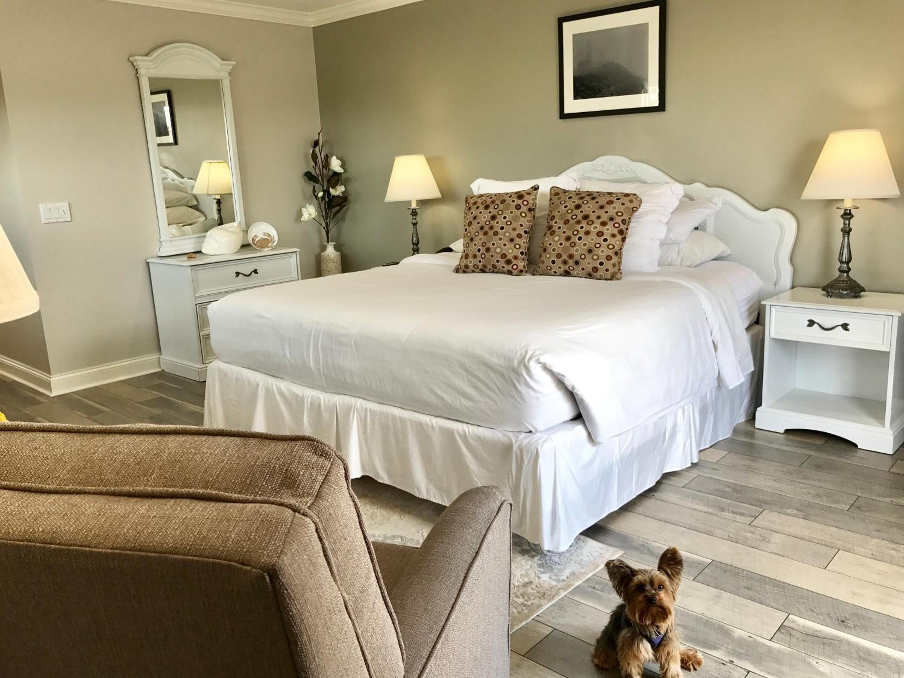 Superior King Room