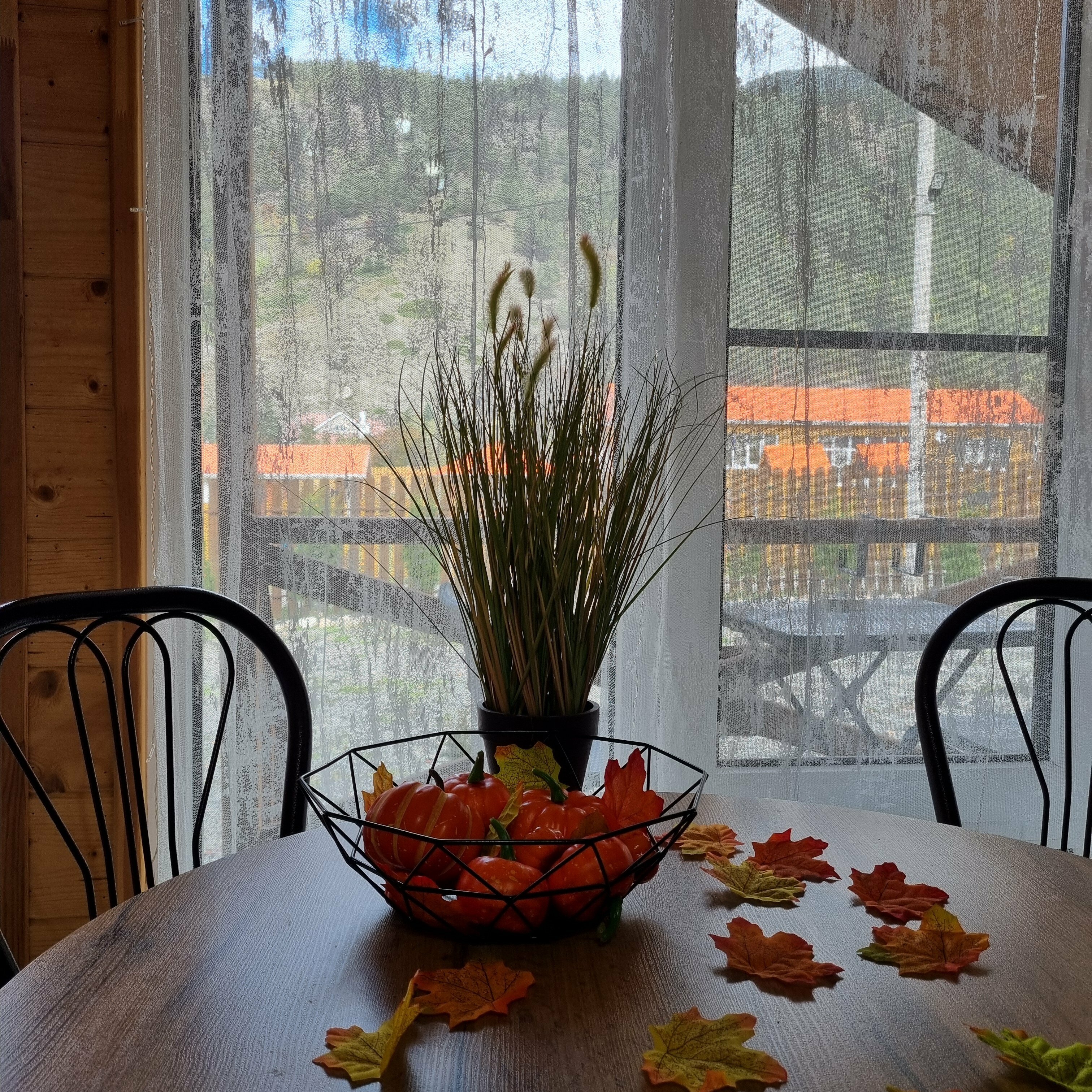 Коттедж с видом на горы