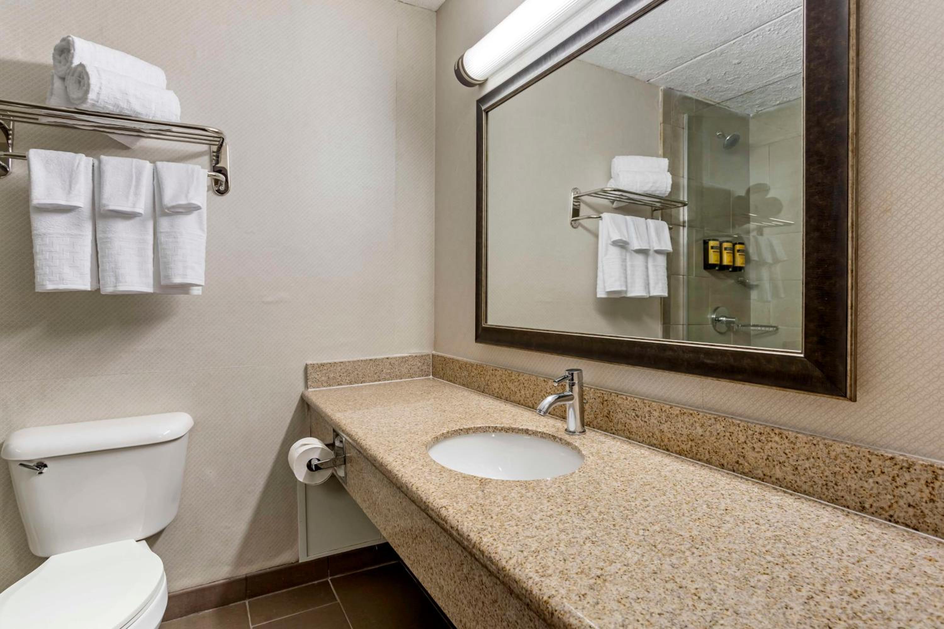 King Room With Sofa Bed - Non-Smoking