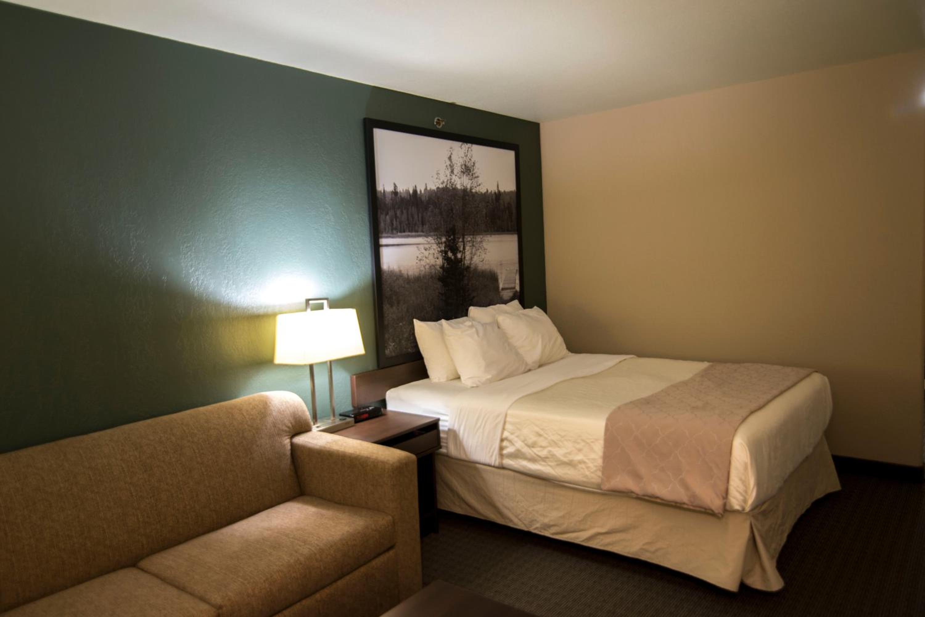 Business Queen Room - Non-Smoking