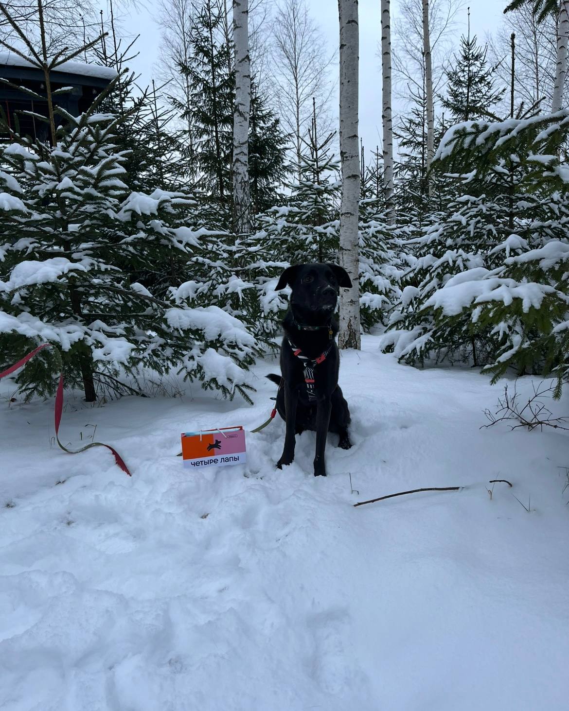 Дом с 2 спальнями