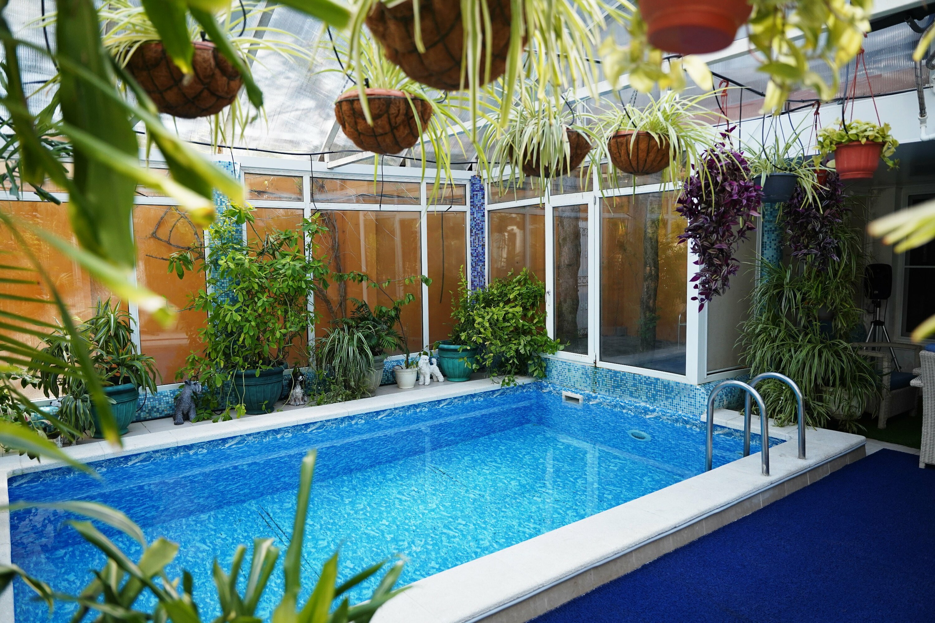 Люкс с бассейном