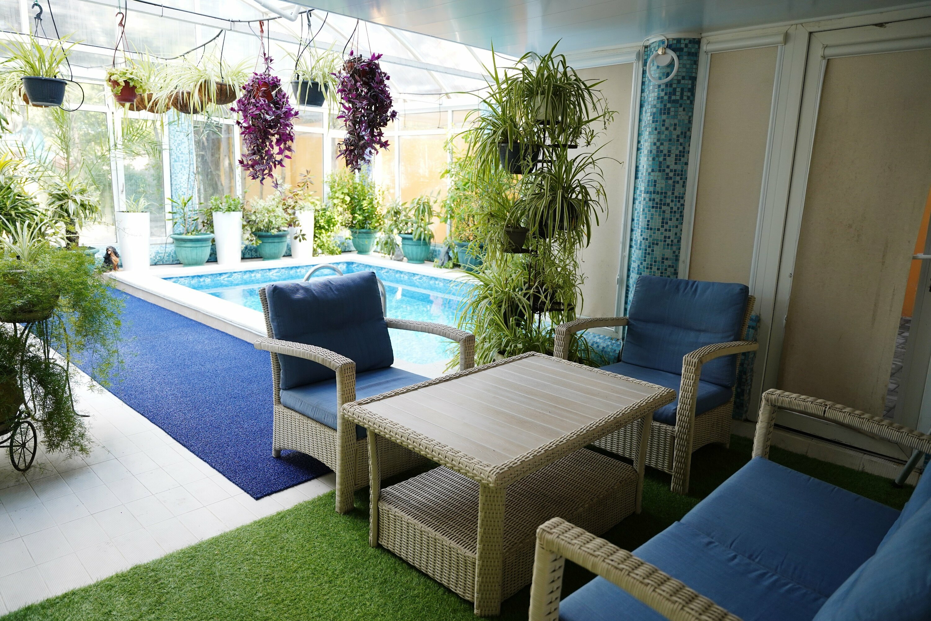 Люкс с бассейном