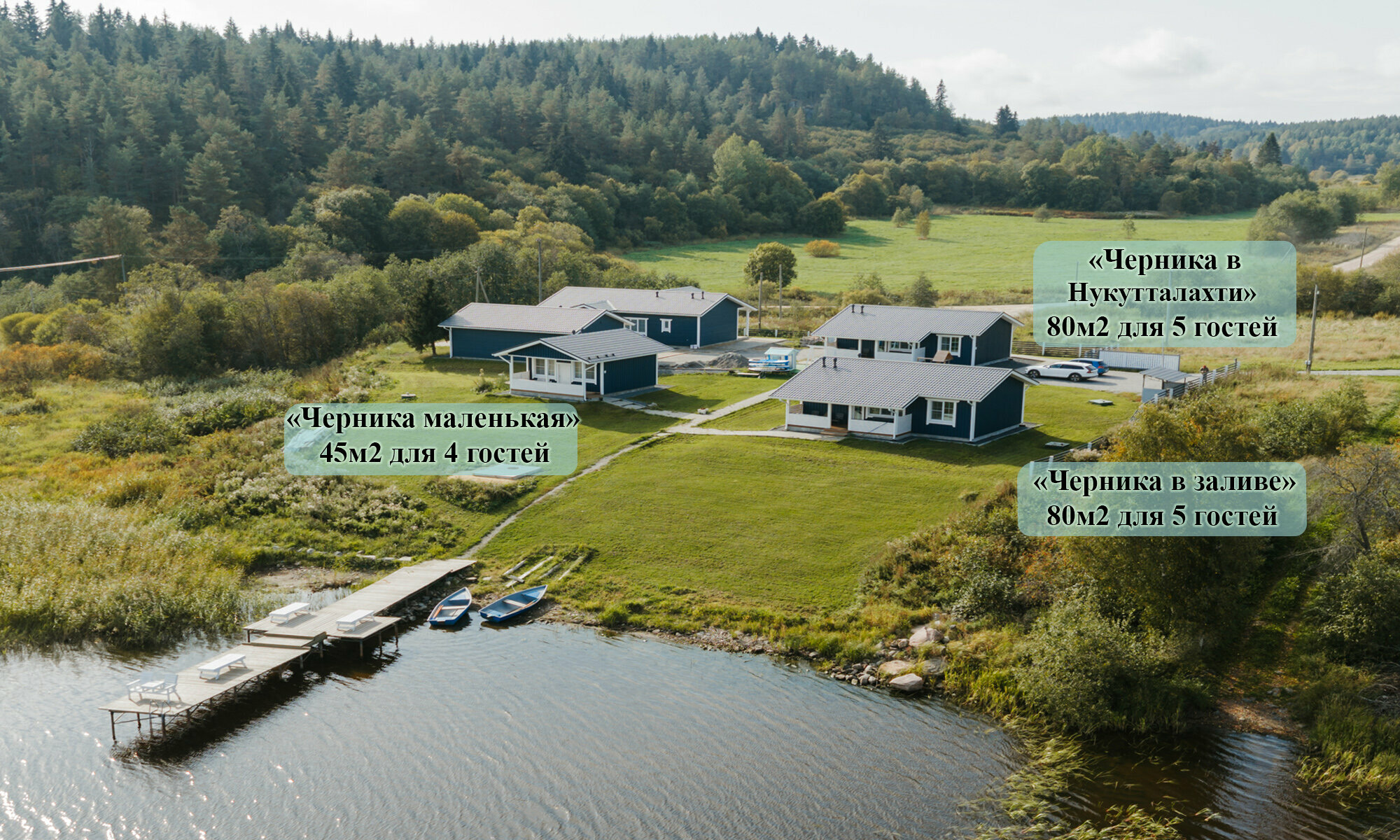 Черника Маленькая 45м2 без питомцев