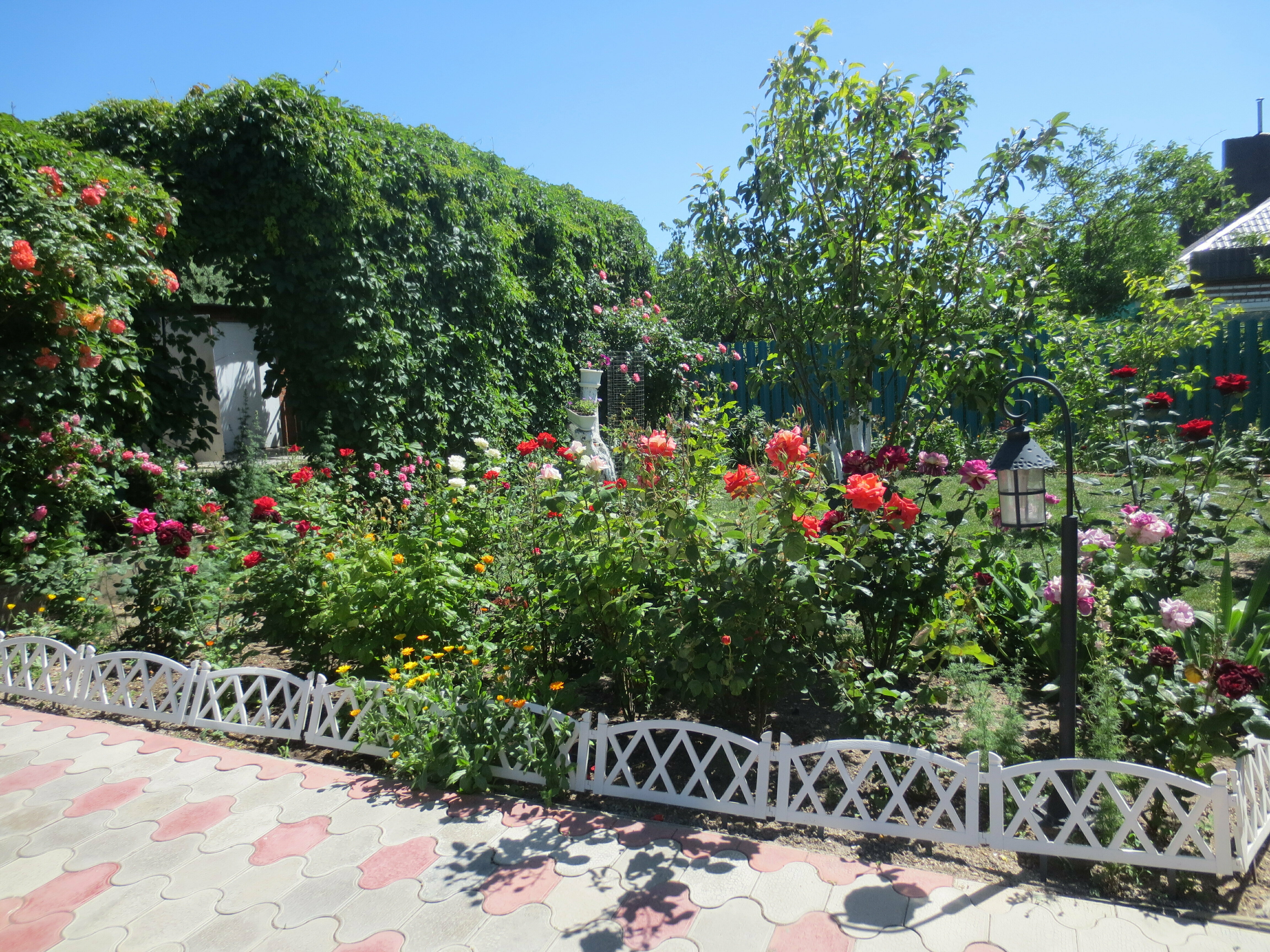 Апартаменты с 1 спальней