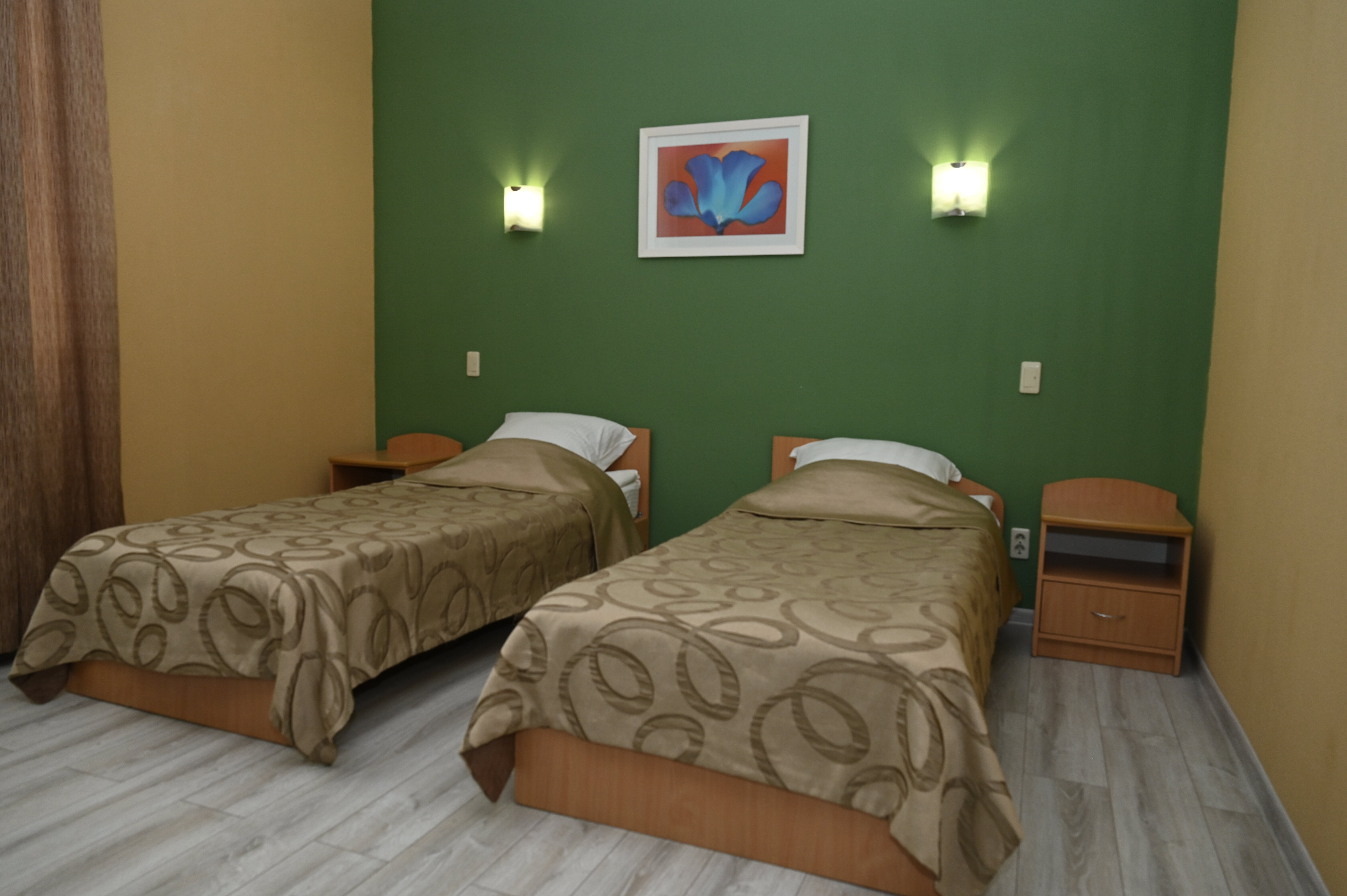 Двухместный номер с 2 отдельными кроватями и окном