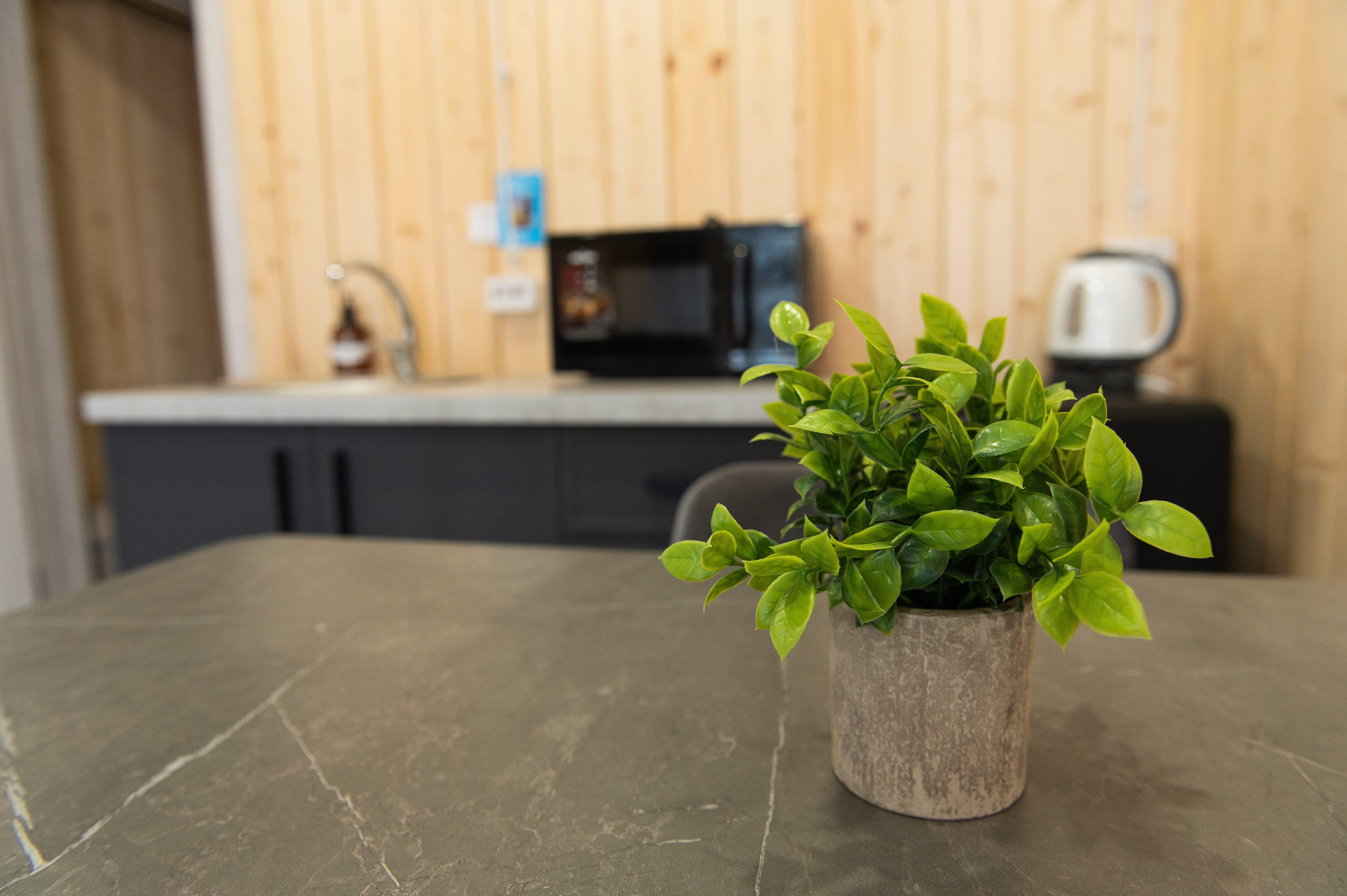 7 корпус (4-местные с кухней)