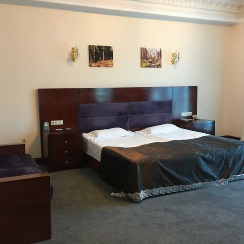 Стандарт (1 двуспальная кровать или 2 односпальные кровати) в Артис Плаза