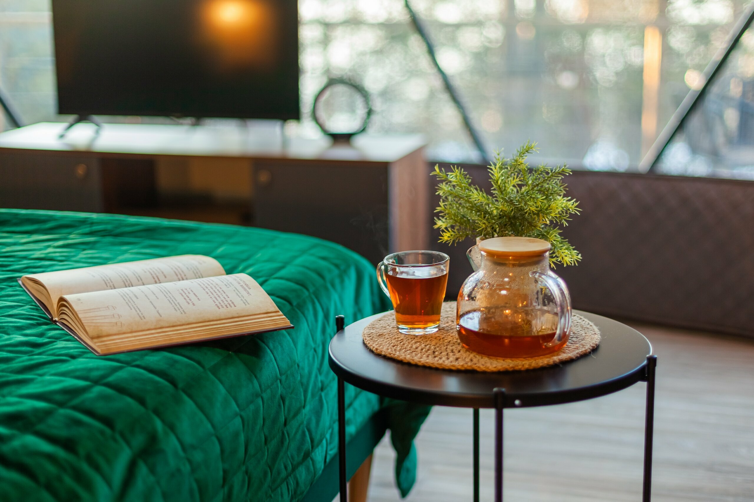 Купол «Карельский лес»