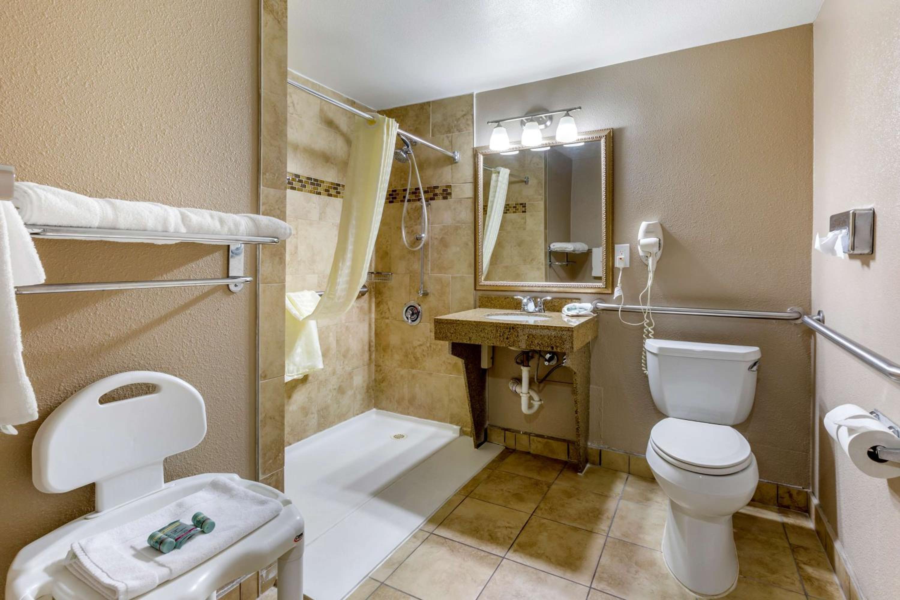 King Room with Roll-In Shower - Mobility Access/Communication Assistance