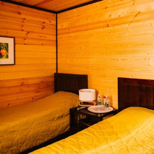 Стандарт в Ефимов Бор