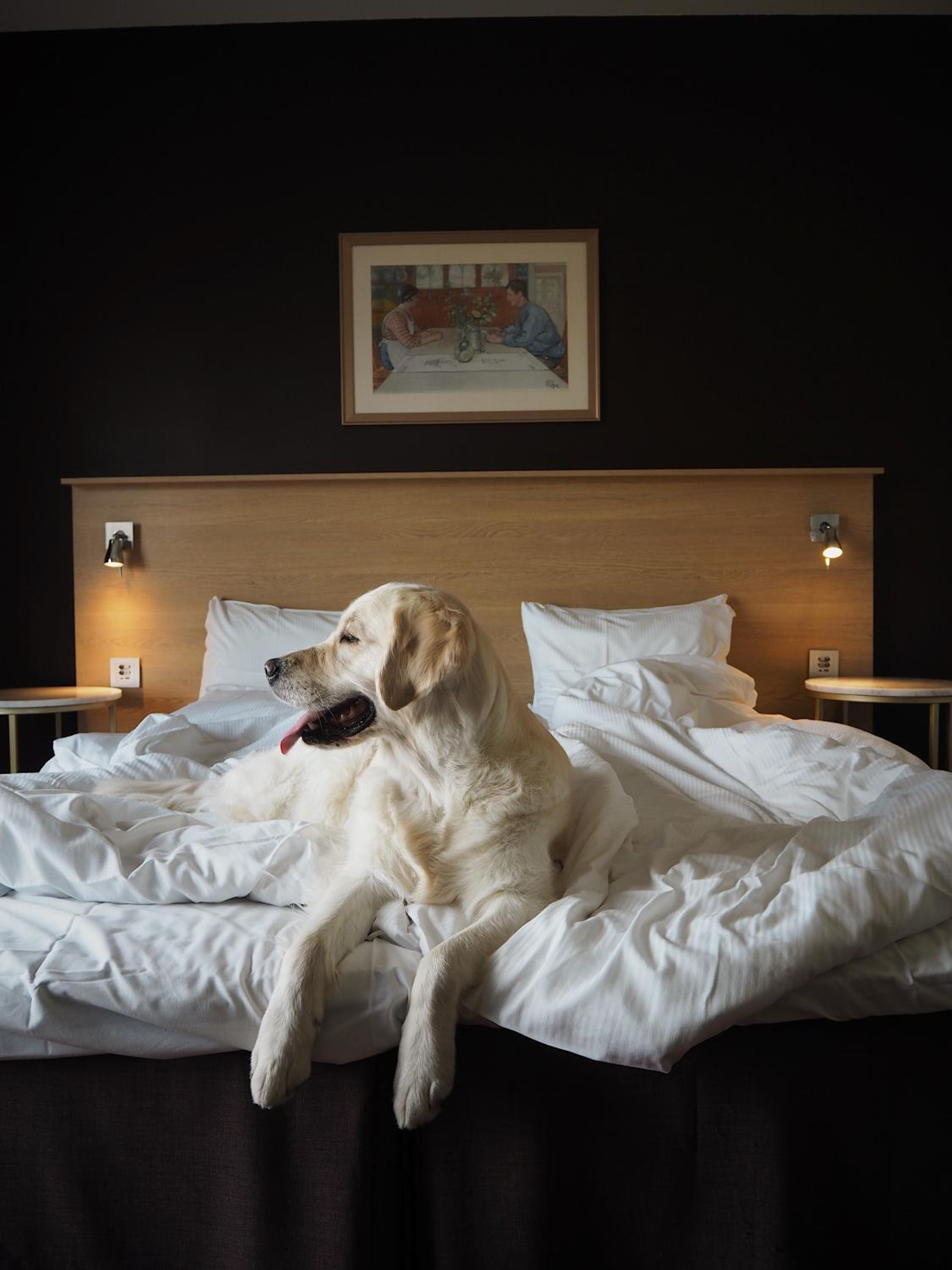 Standard Triple Room with Two Single Beds - Non-Smoking