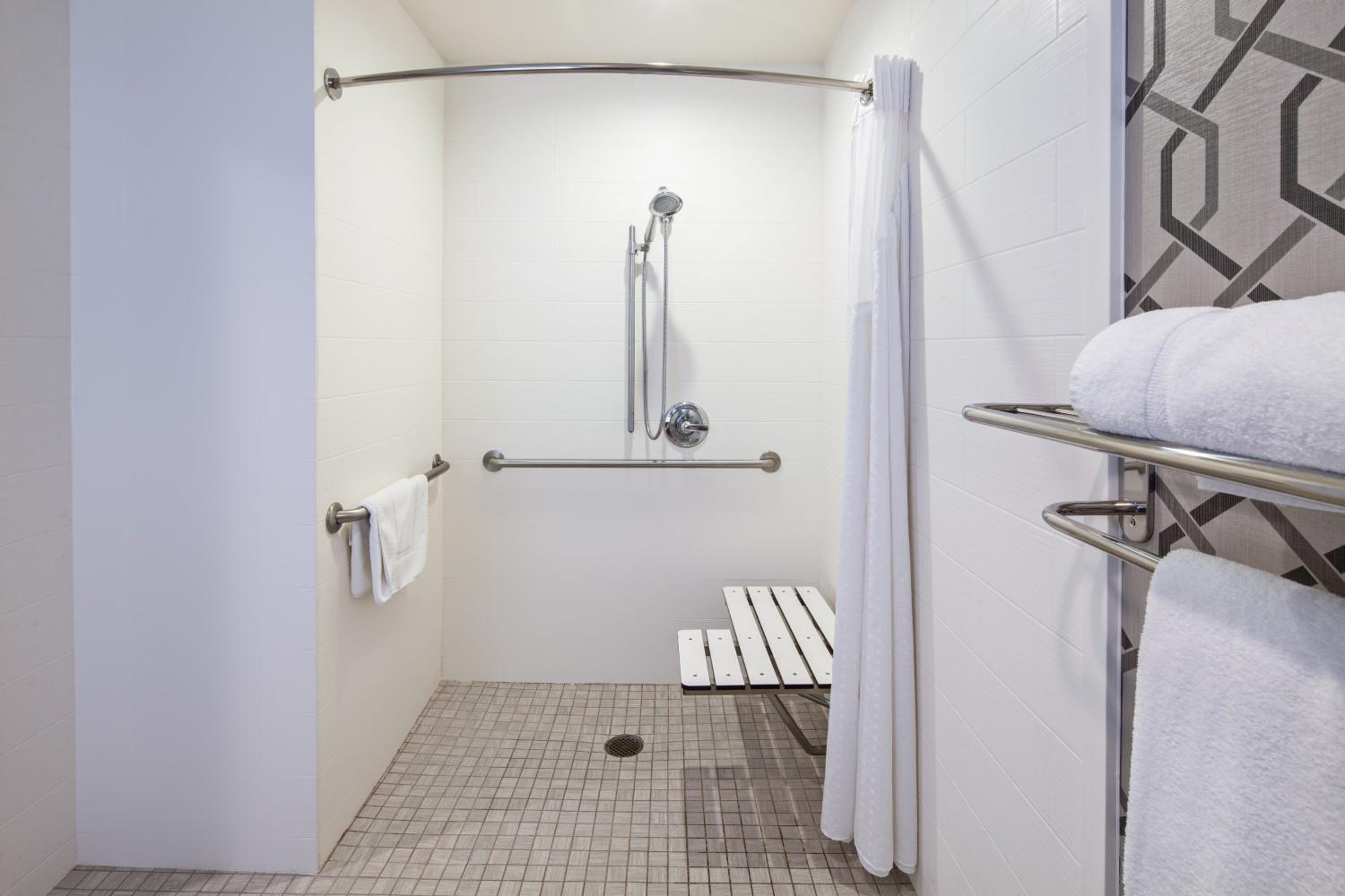 King Room with Roll In Shower and City View - Mobility Accessible