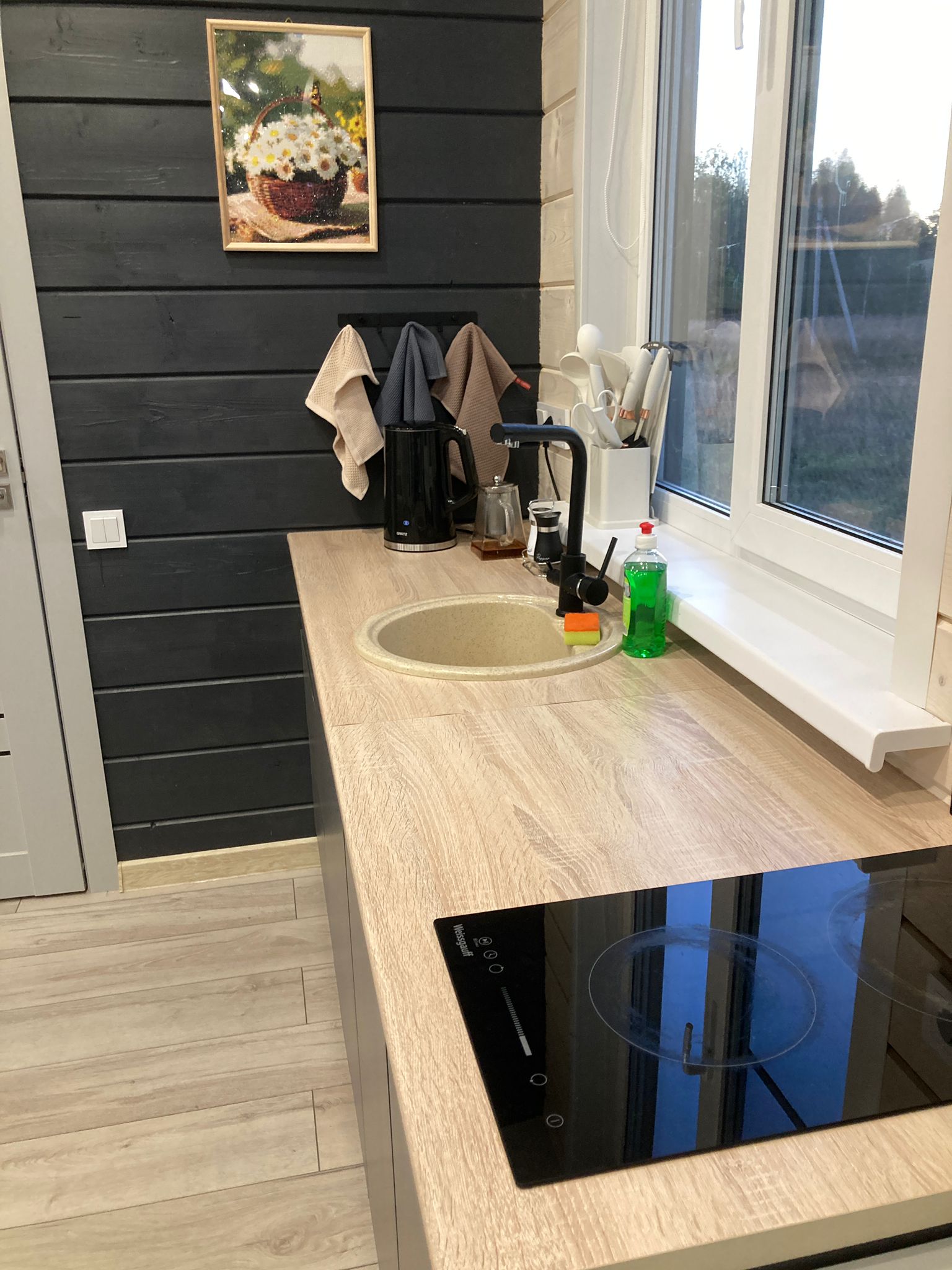 Дом на первой линии с видом на реку