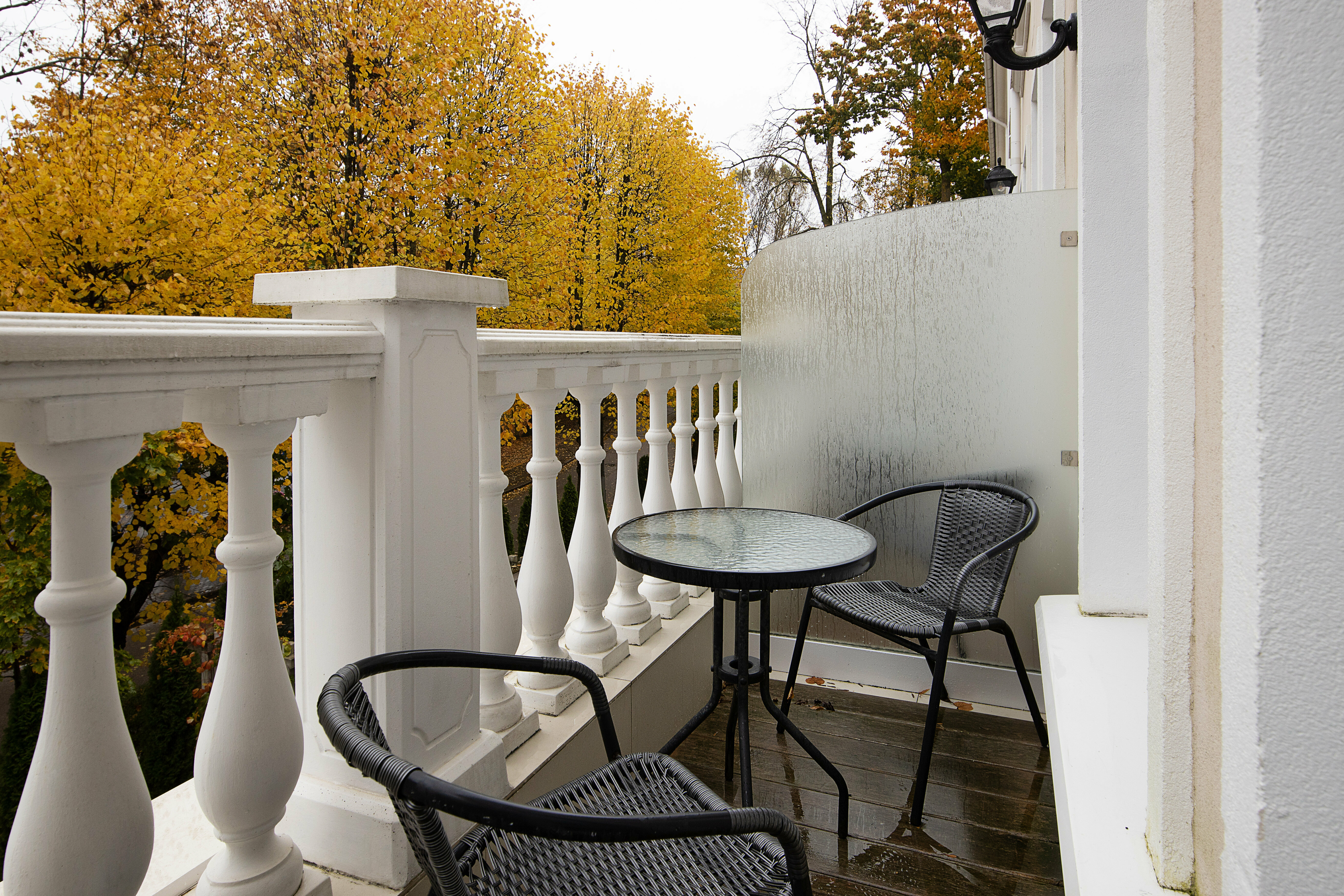 Стандартный номер с видом на парк, балконом и большой двуспальной кроватью