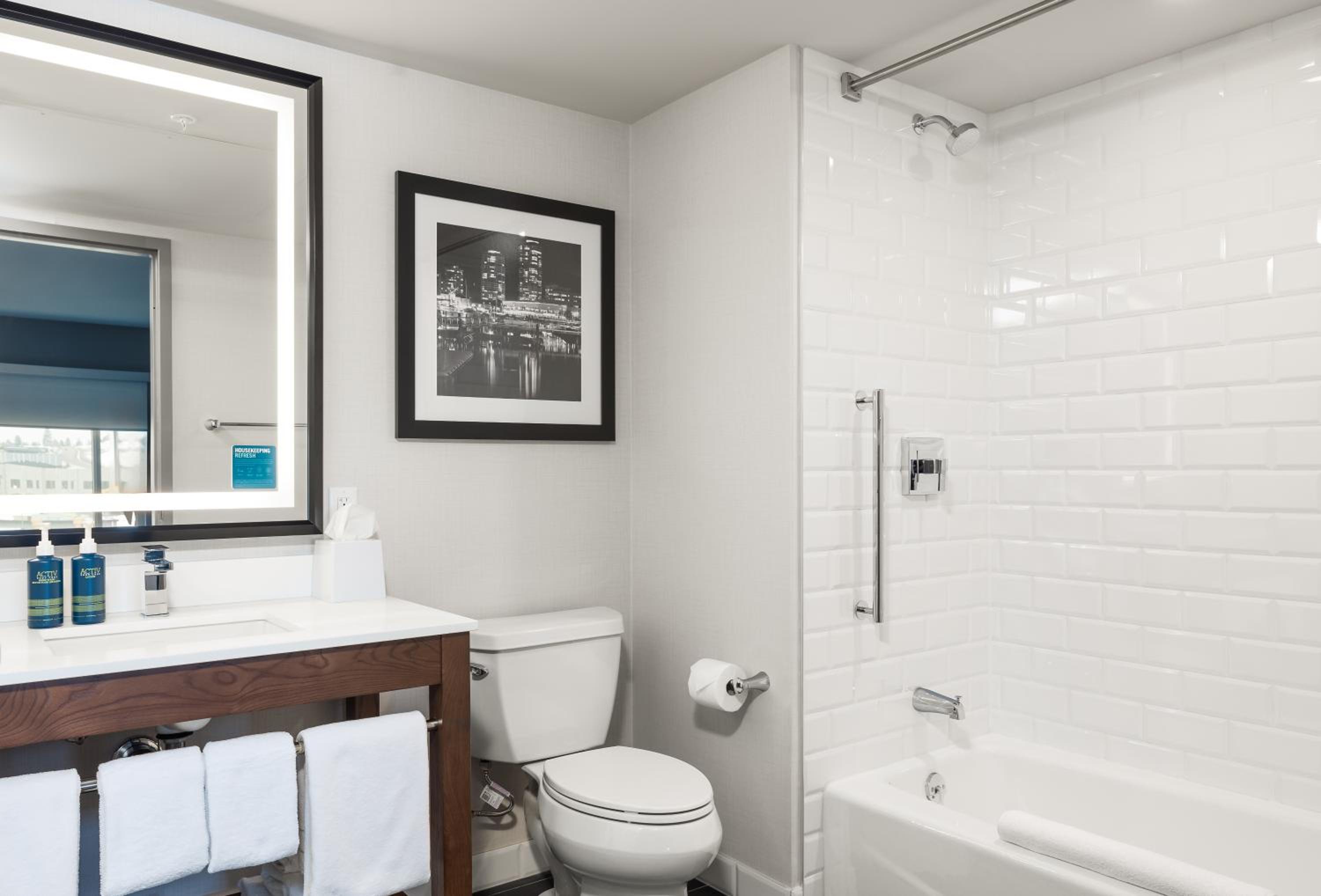 Premium 1 Bedroom Suite, 1 King, 1 Sofa bed