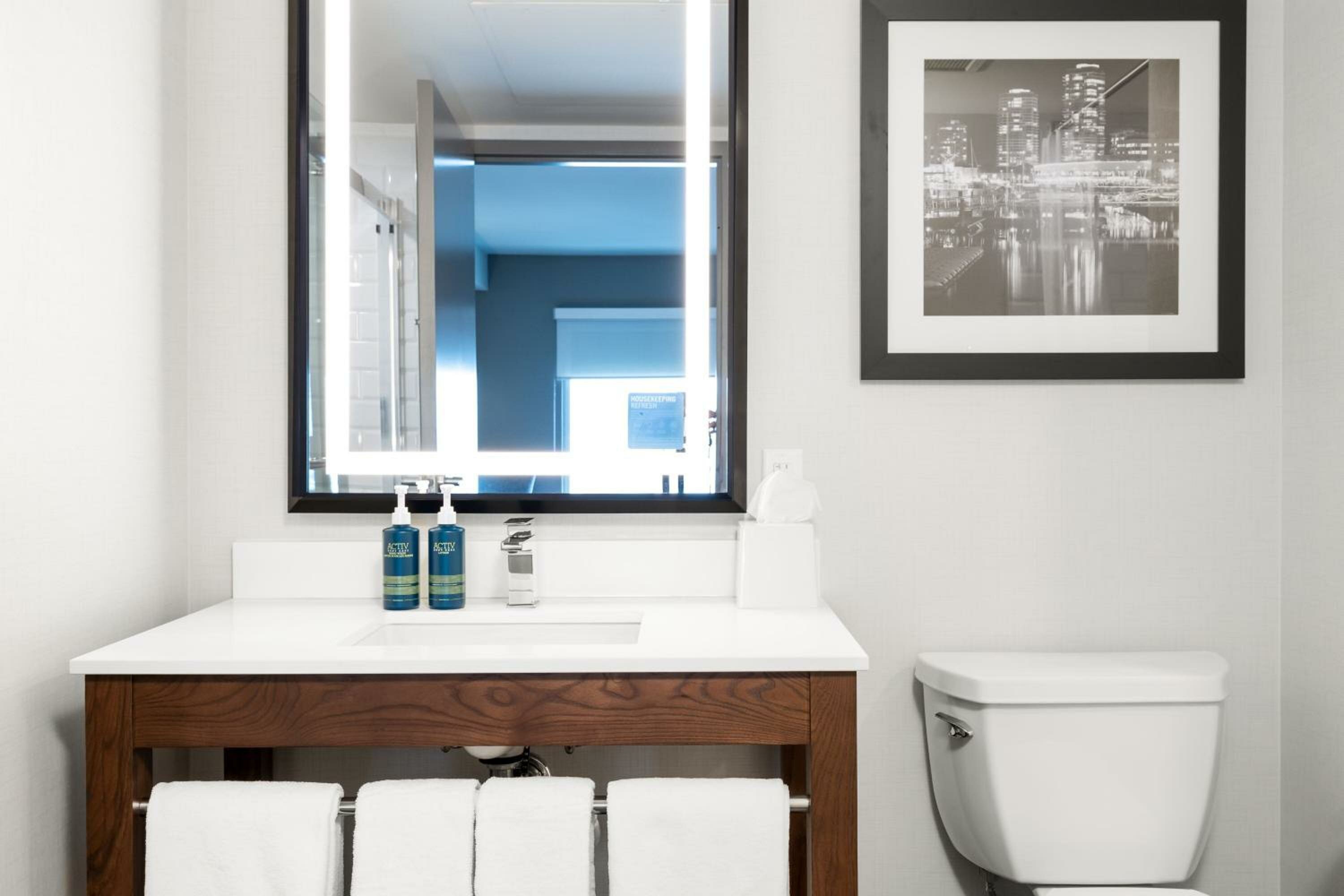 Premium 1 Bedroom Suite, 1 King, 1 Sofa bed