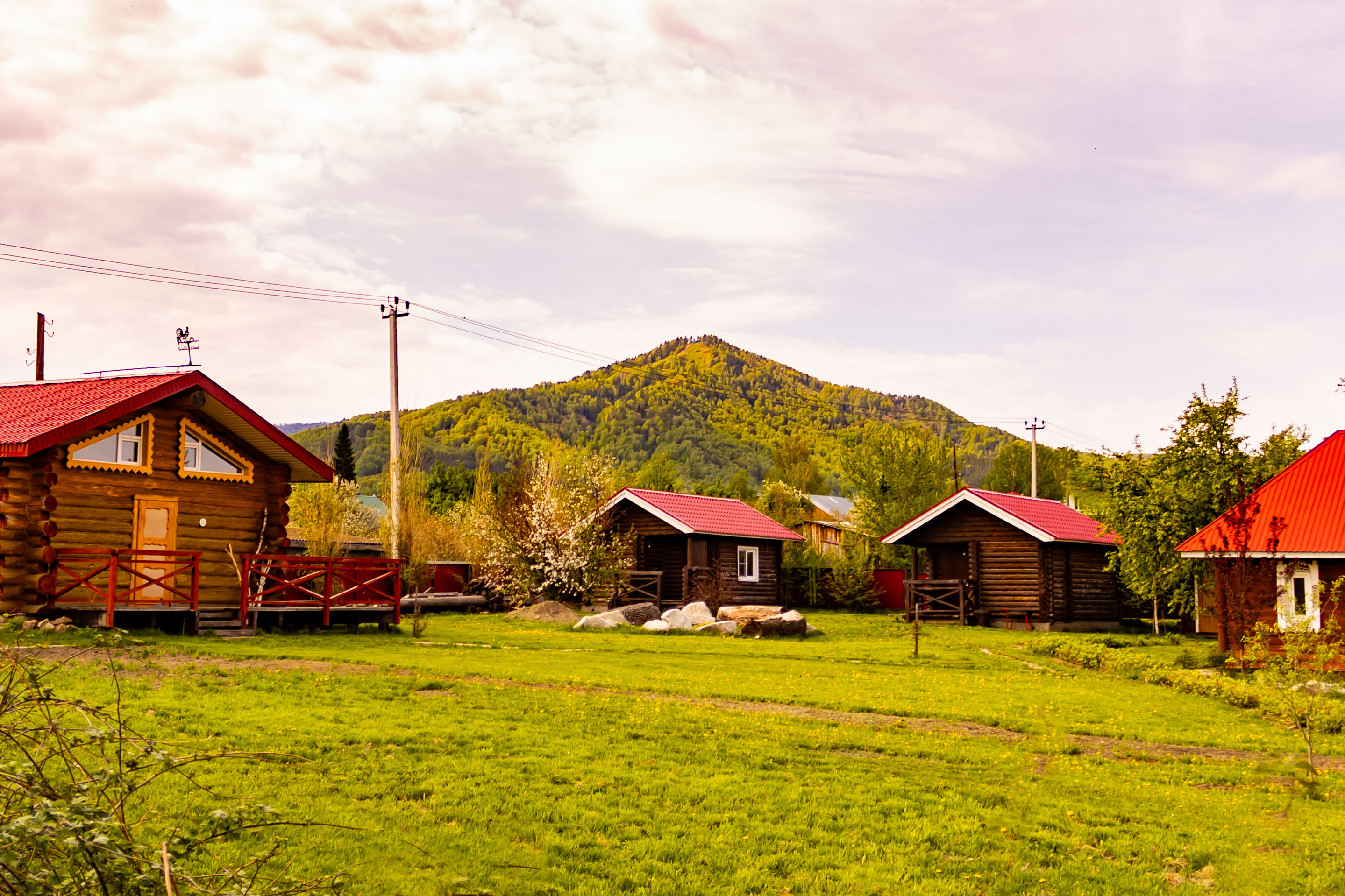 Двухместный номер с 2 отдельными кроватями, вид на сад