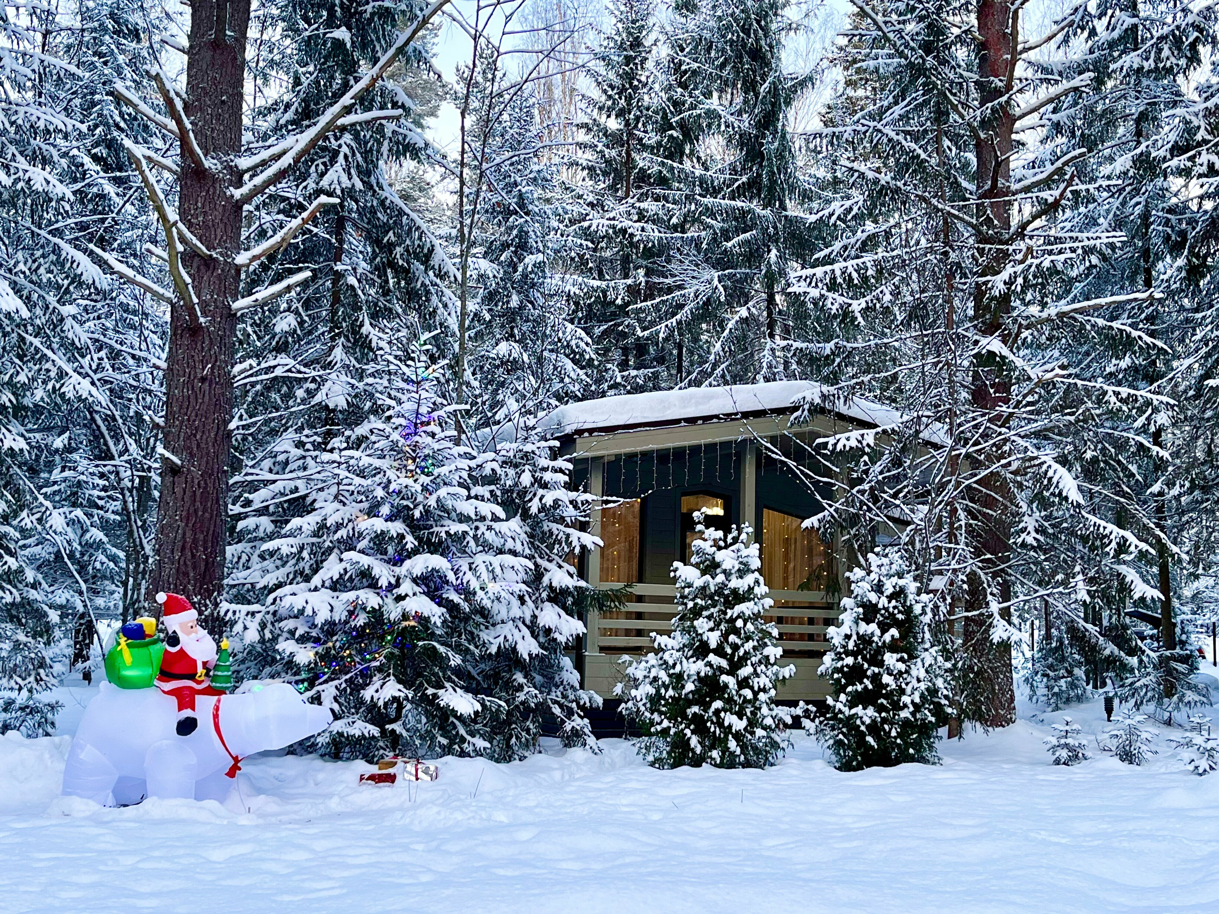 Лесной домик