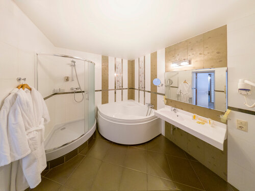 Улучшенный двухместный номер Делюкс с 1 кроватью или 2 отдельными кроватями в Загреб