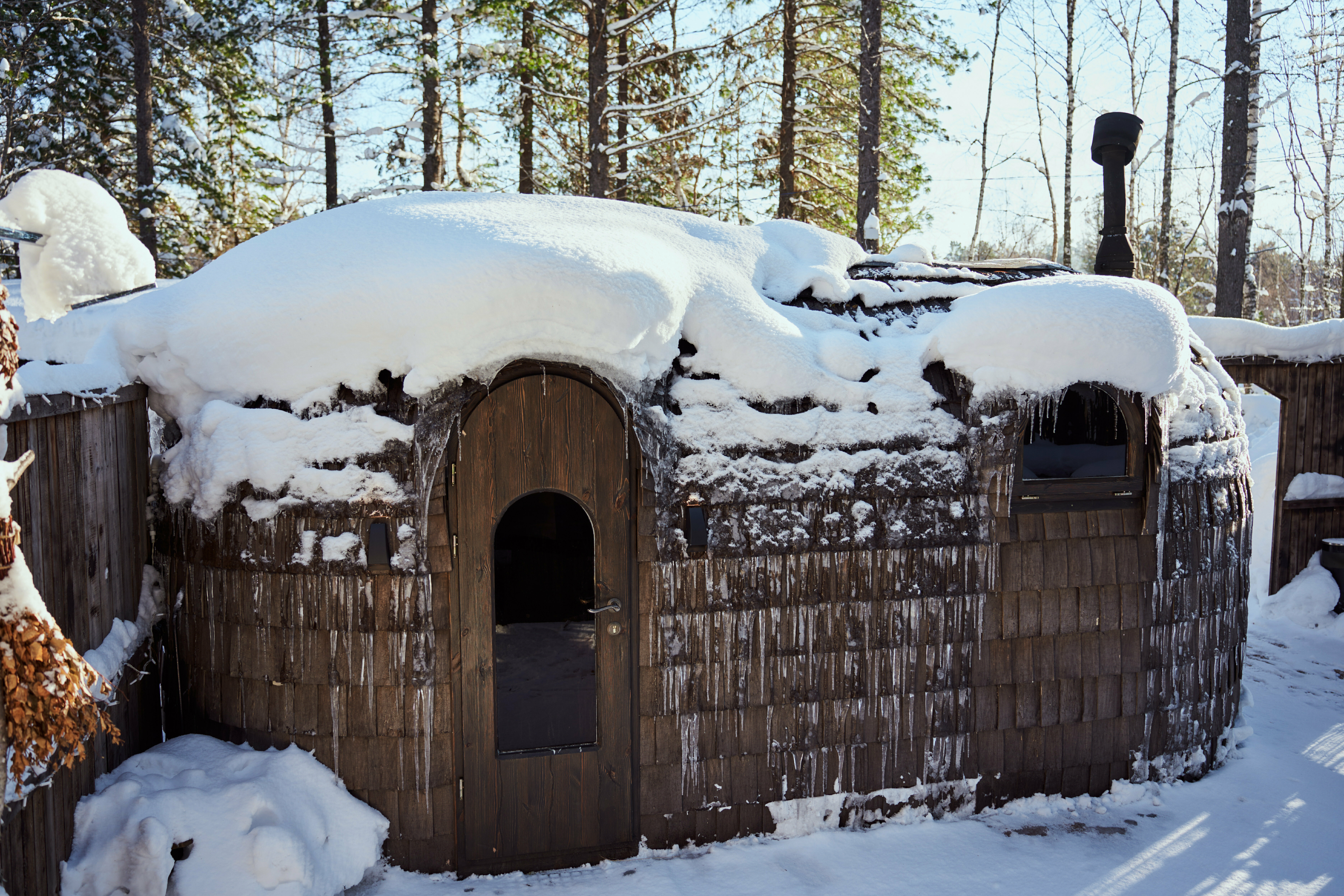 Дом с видом на лес