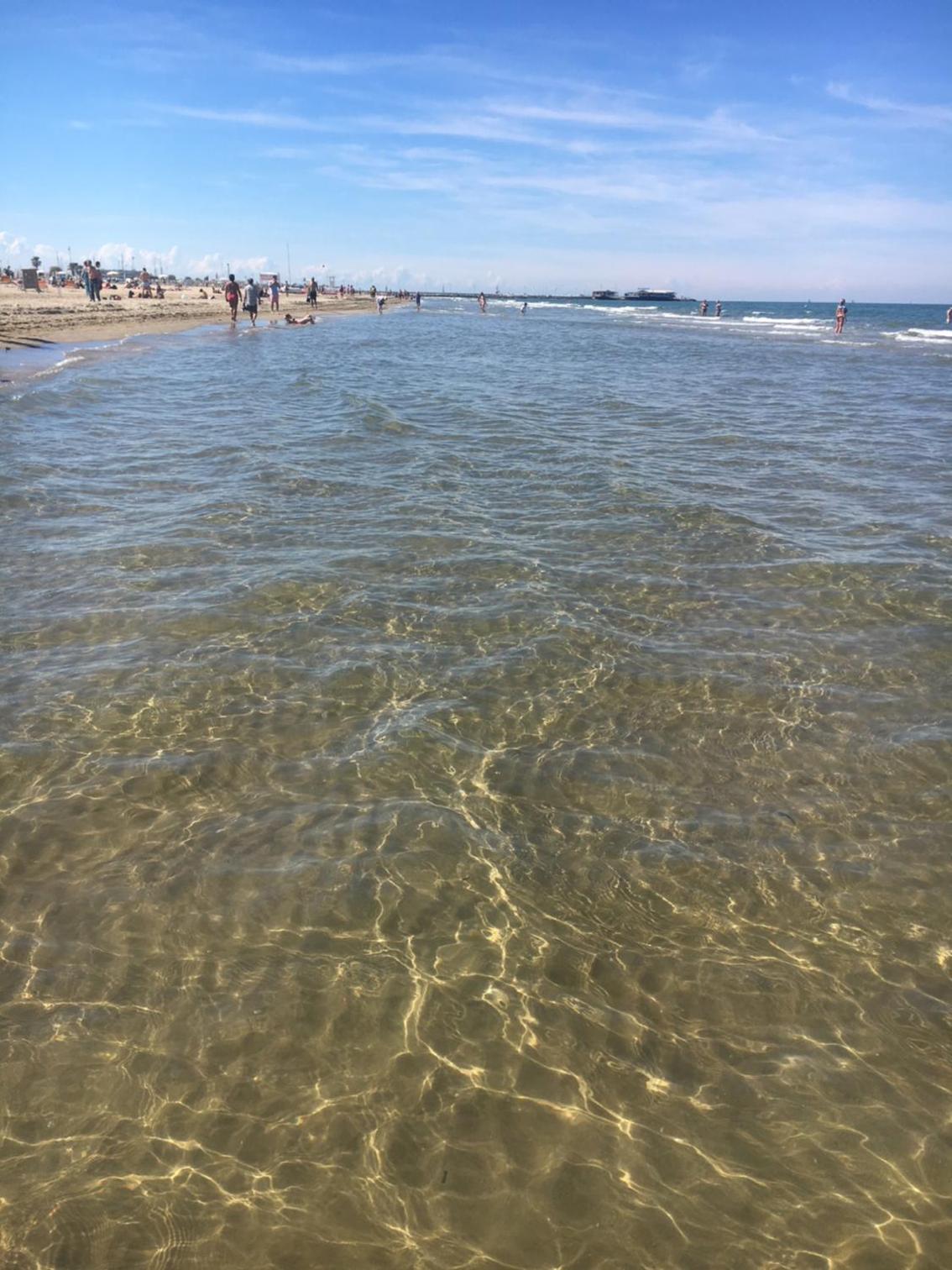 One-Bedroom Apartment (4 Adults)