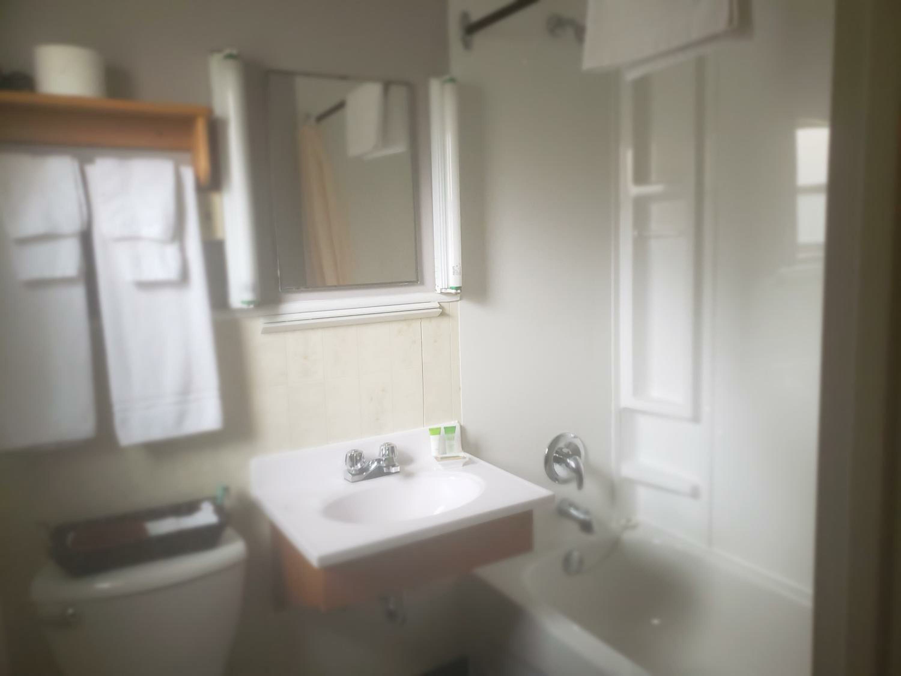 Double Room with Two Double Beds