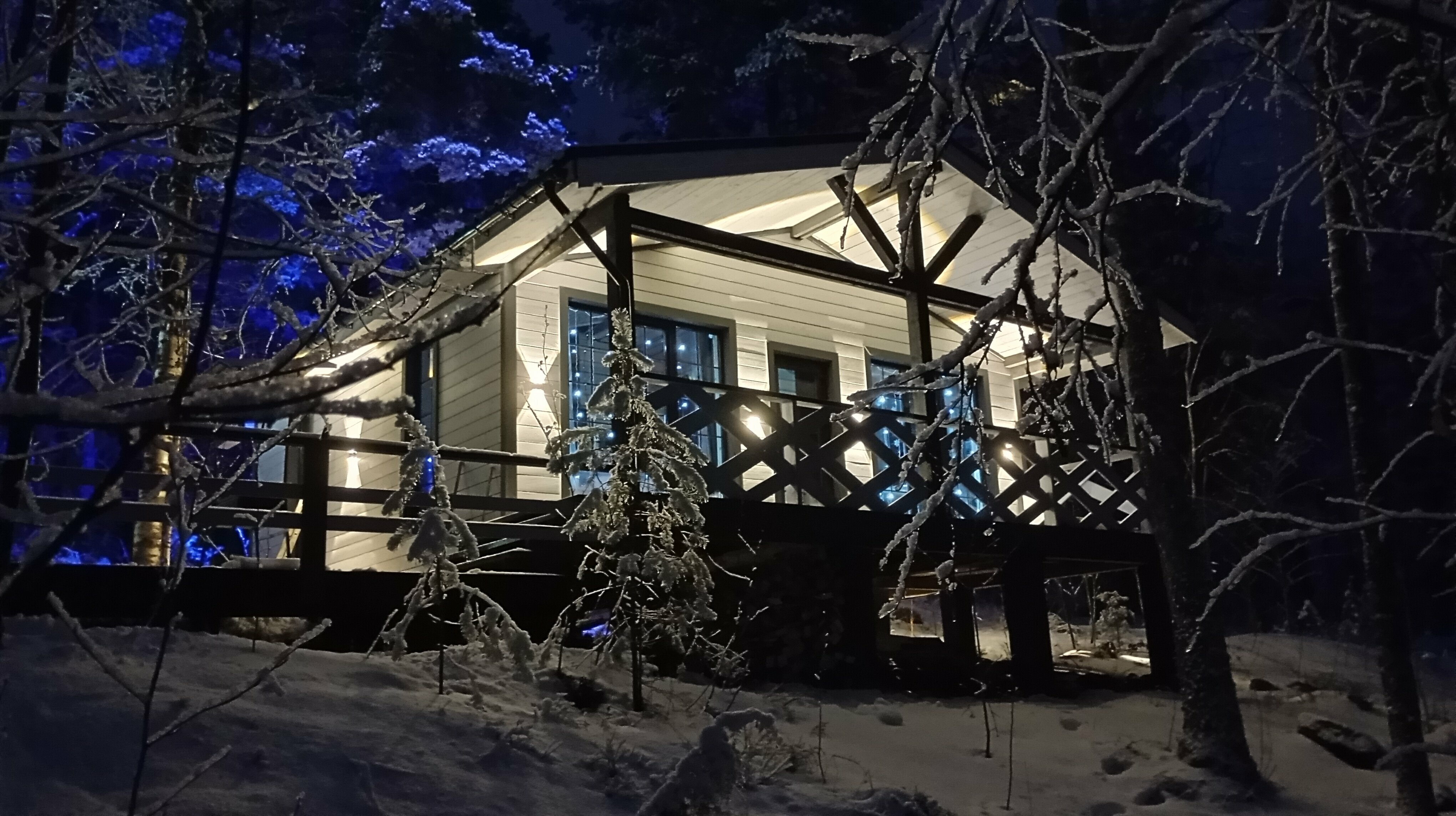 Коттедж с видом на лес