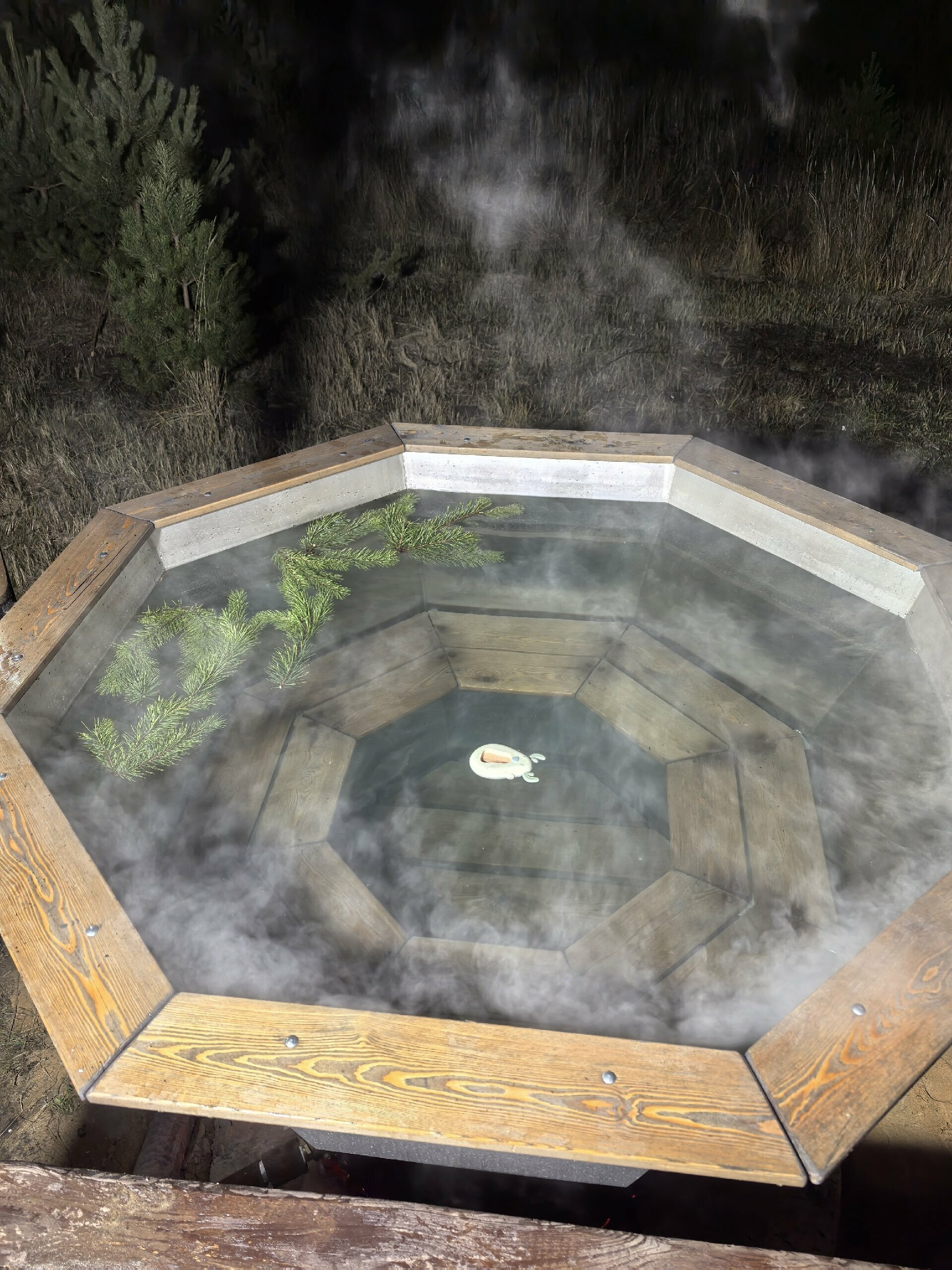 Большой дом с баней и чаном