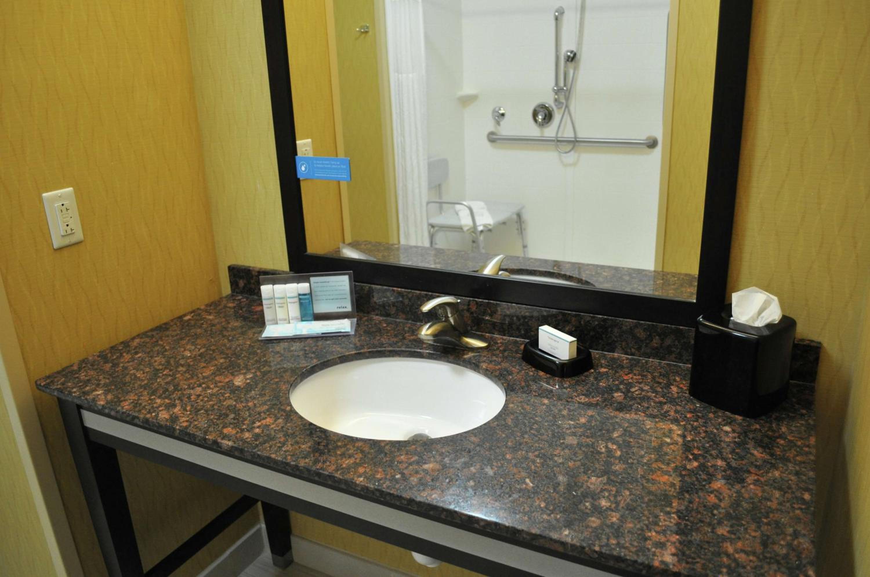 King Room with Roll-In Shower - Mobility and Hearing Access/Non-Smoking