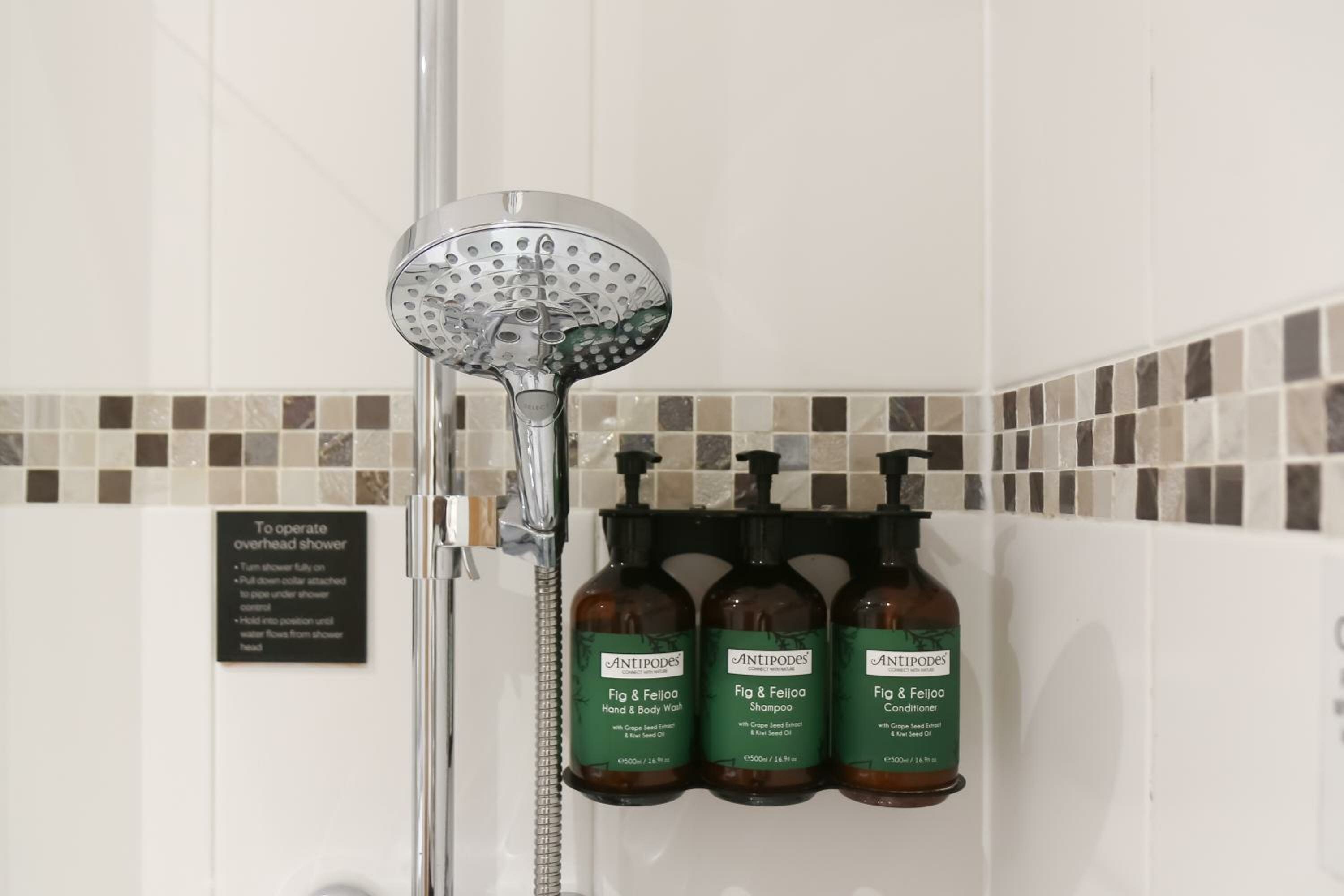 Grand Twin Room - Accessible