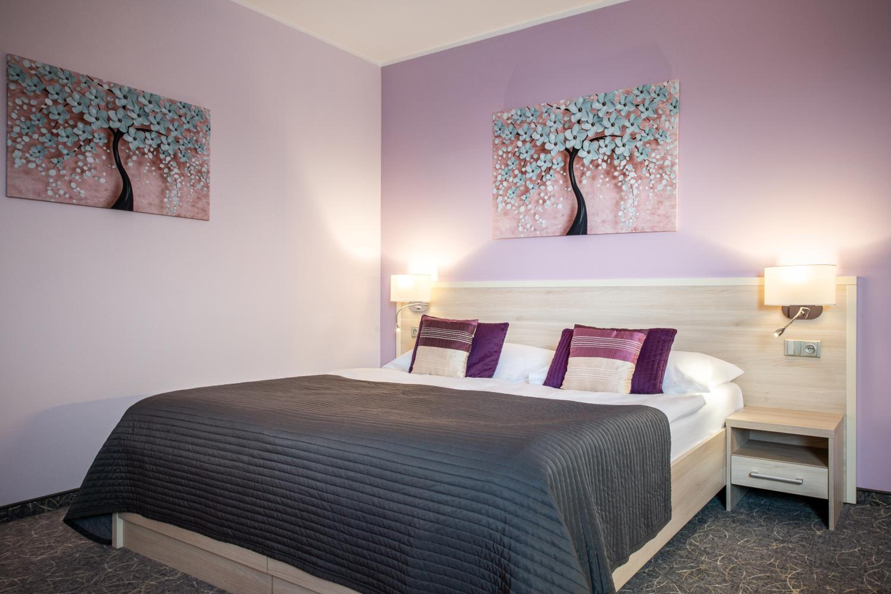 Comfort Double or Twin Room