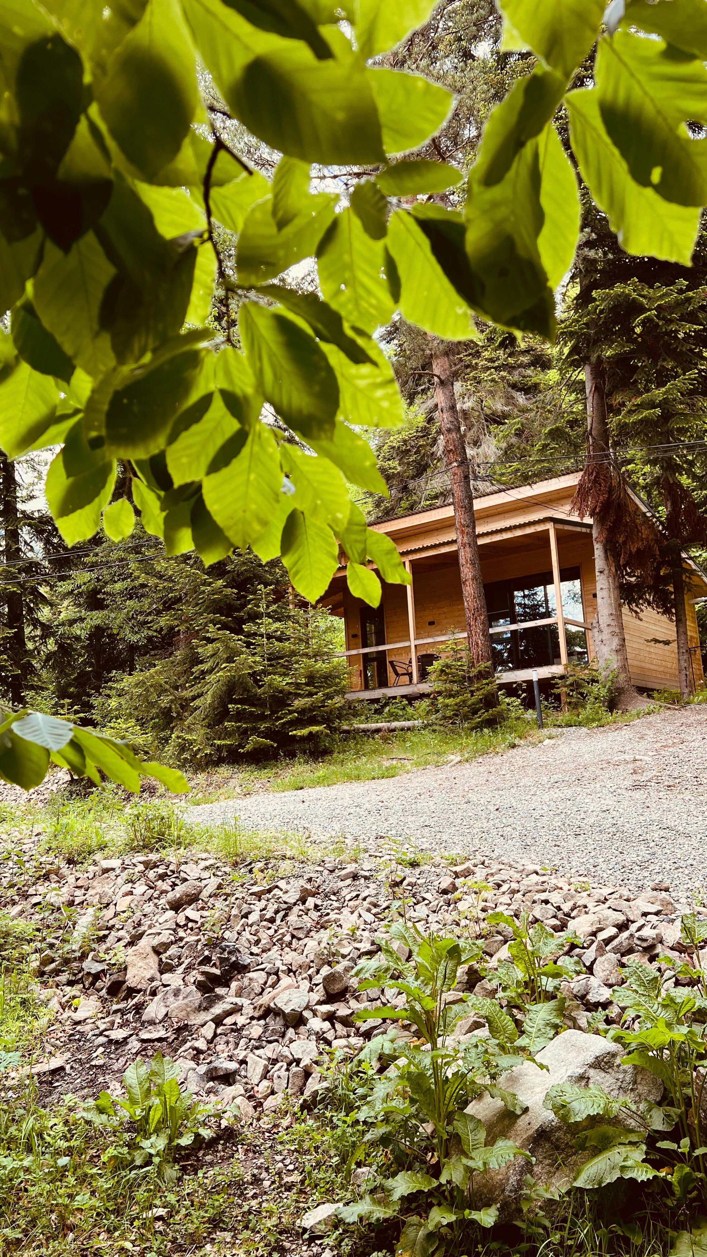 Четырёхместный люкс с террасой и мангальной зоной