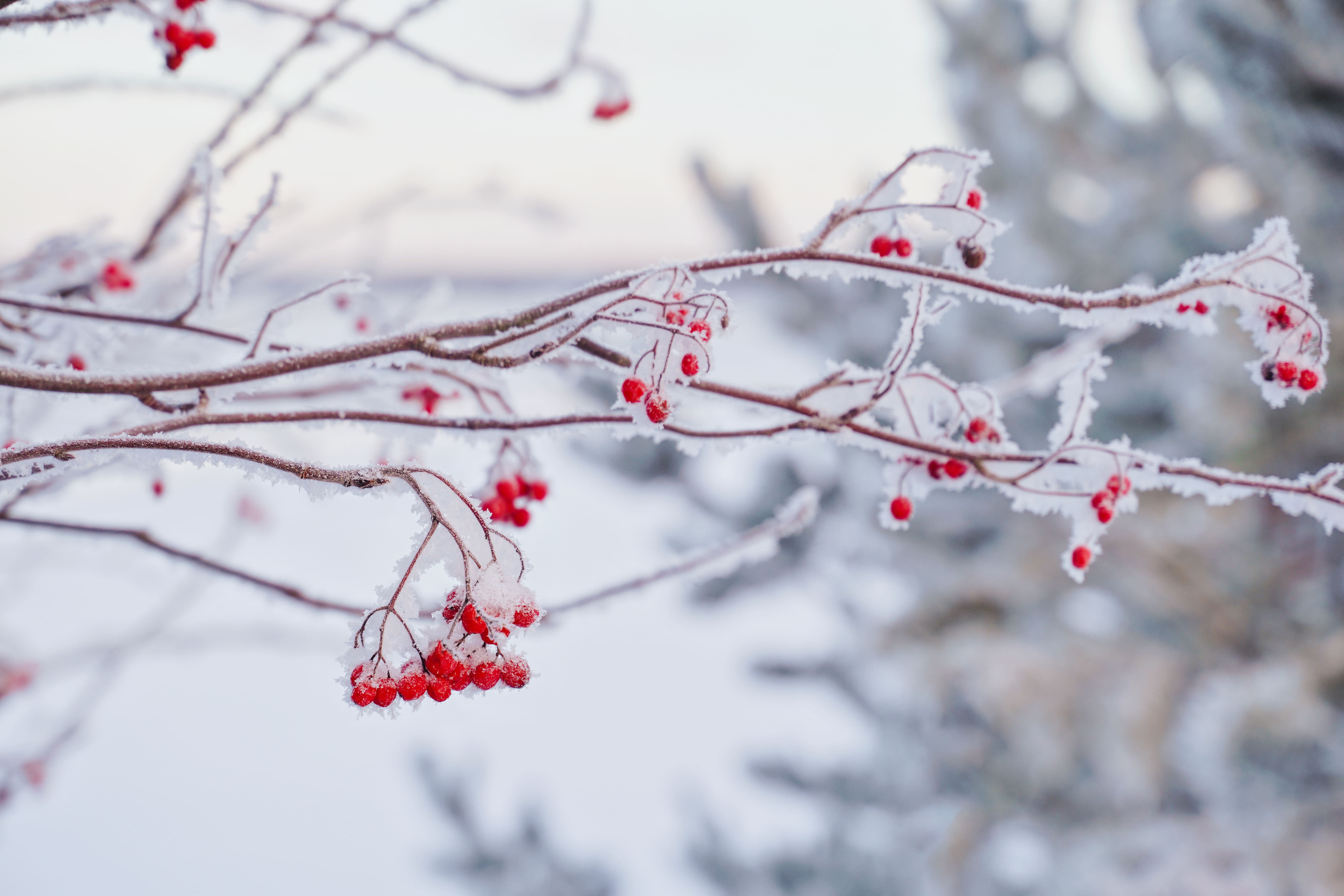 Студия с банкетом и бранчем в ресторане отеля