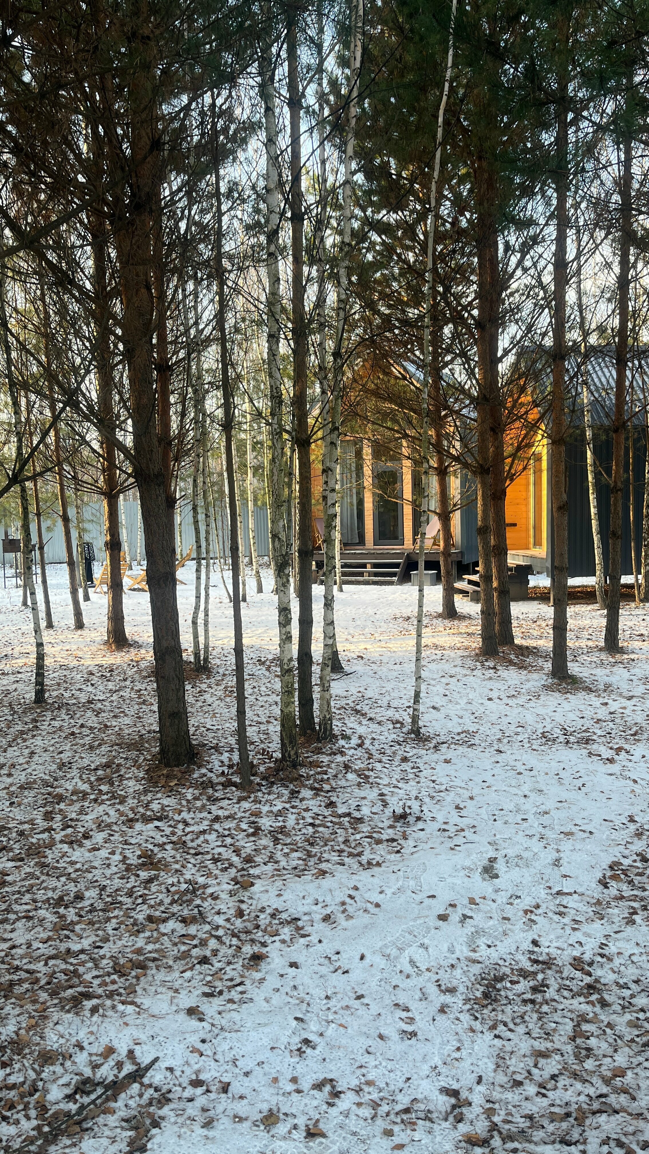 Дом с видом на лес