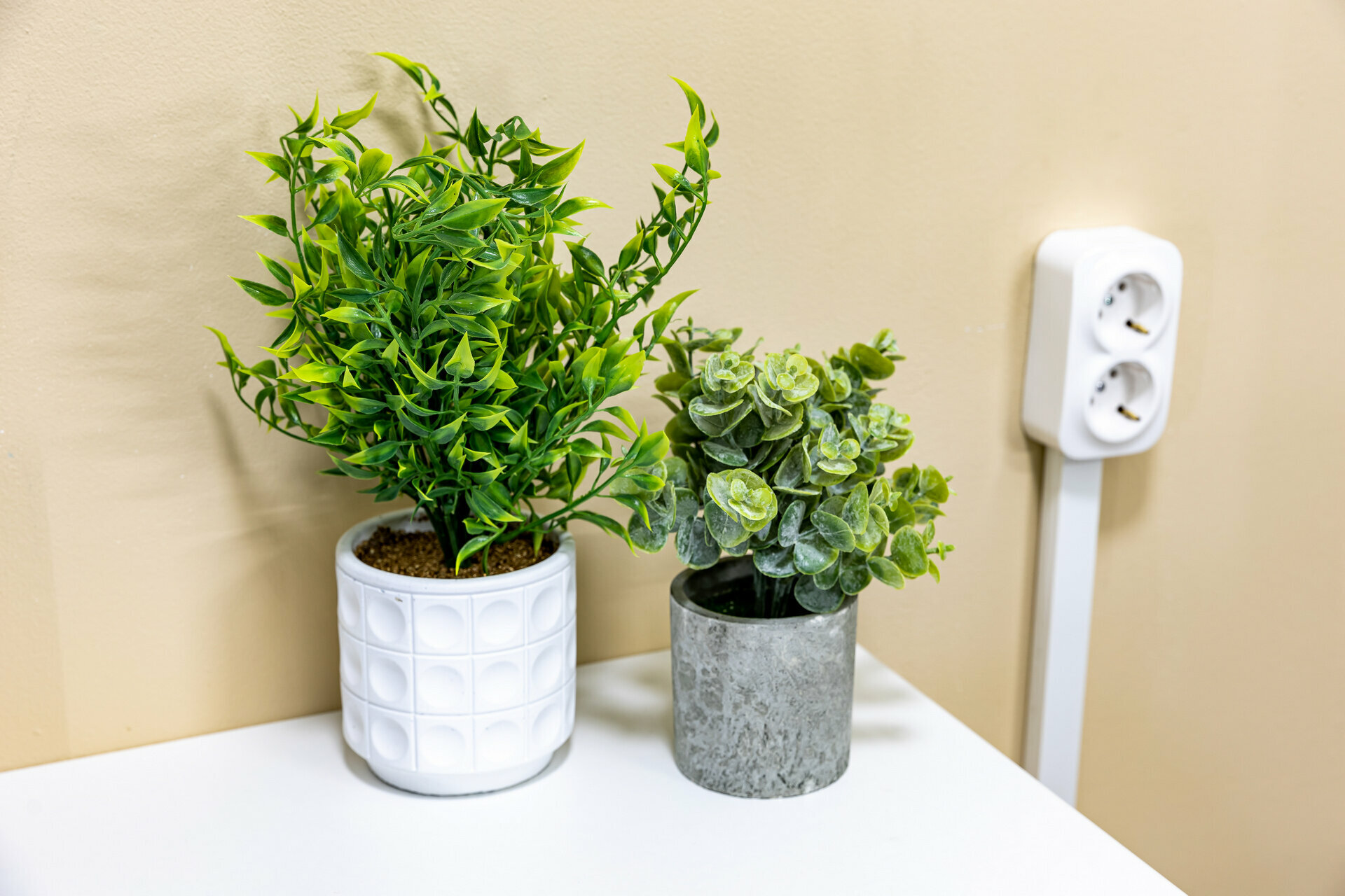 Общий 6-местный номер для мужчин и женщин