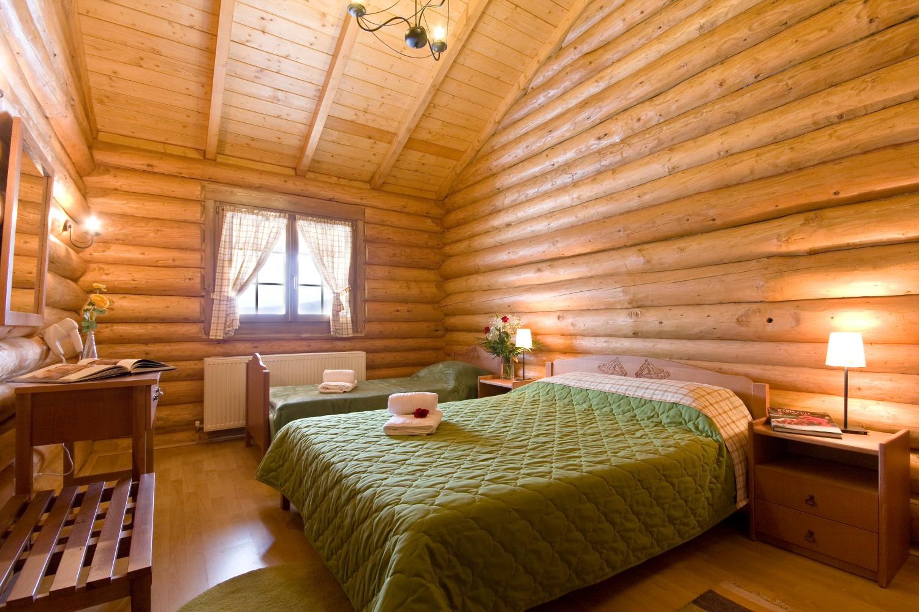 Chalet with fireplace